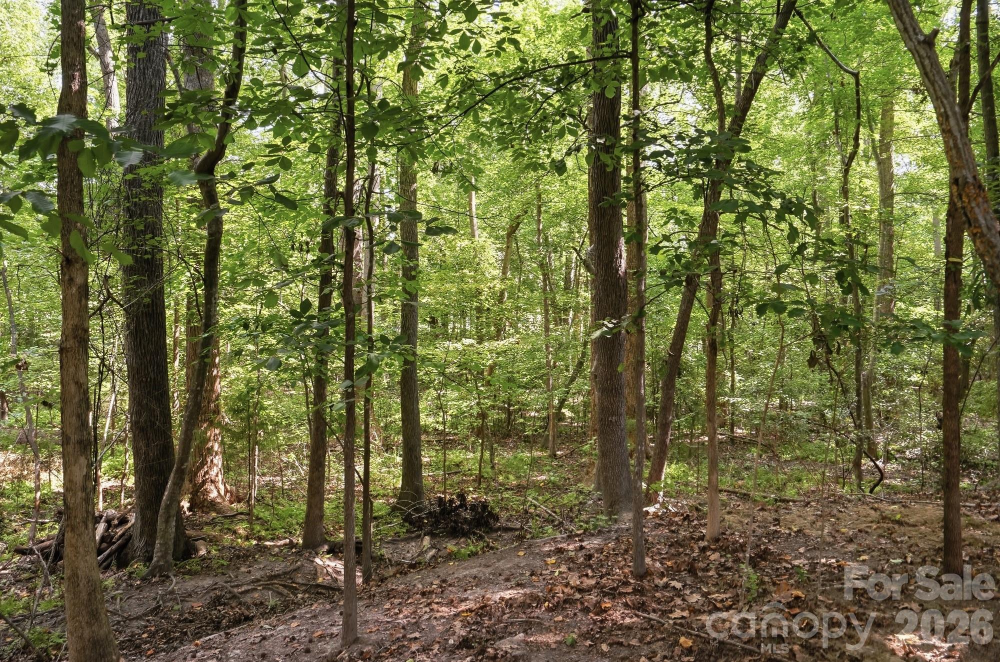 15000 Kinnegal Lane — Charlotte