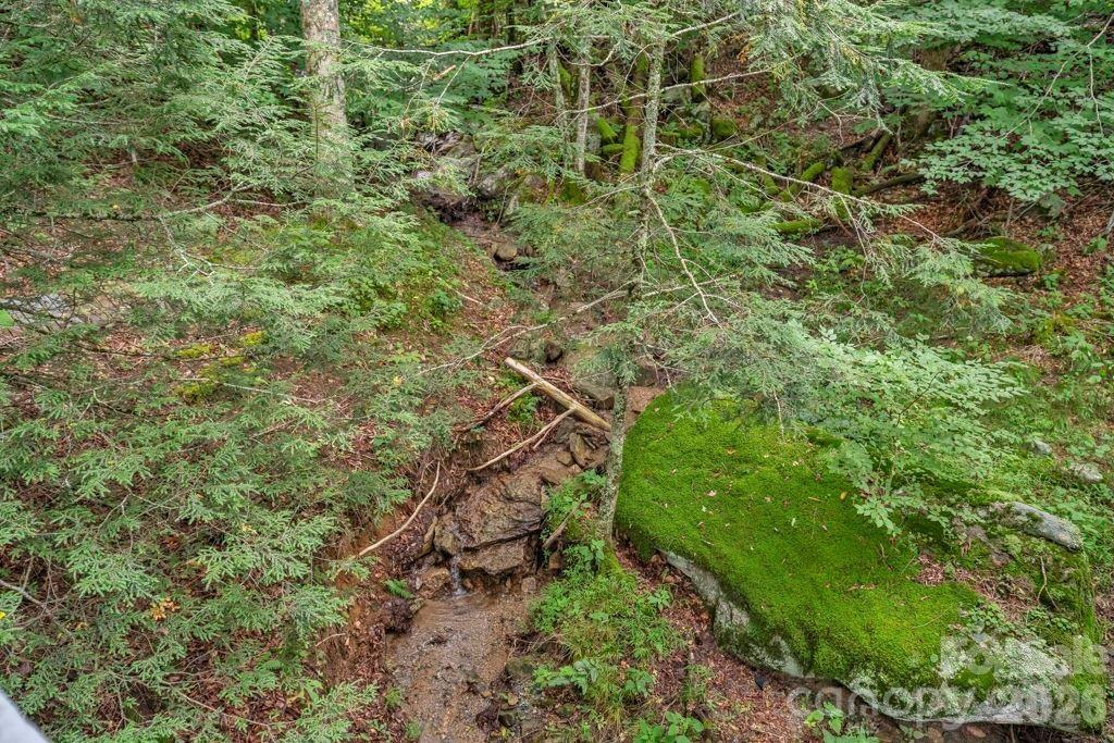 211 Foxgrape Hollow #77 — Beech Mountain