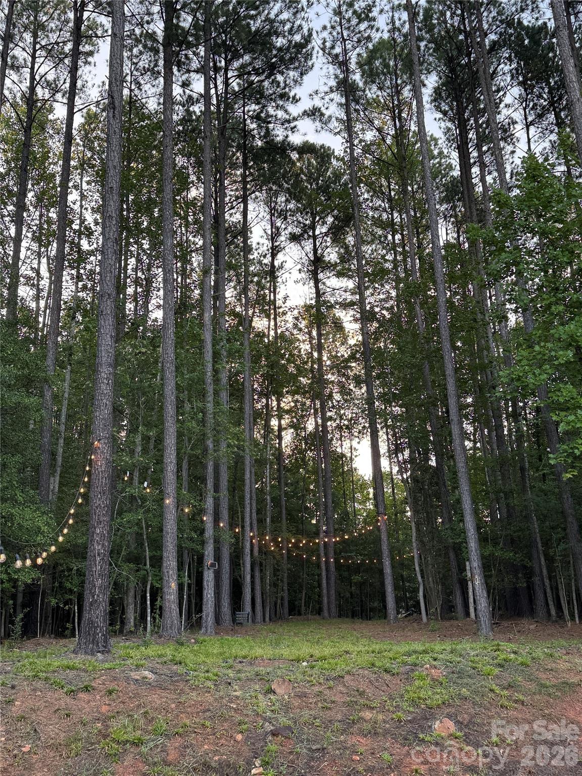 607 Winter Walk Lane — Lake Wylie