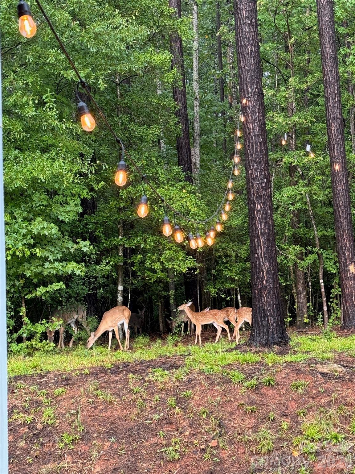 607 Winter Walk Lane — Lake Wylie