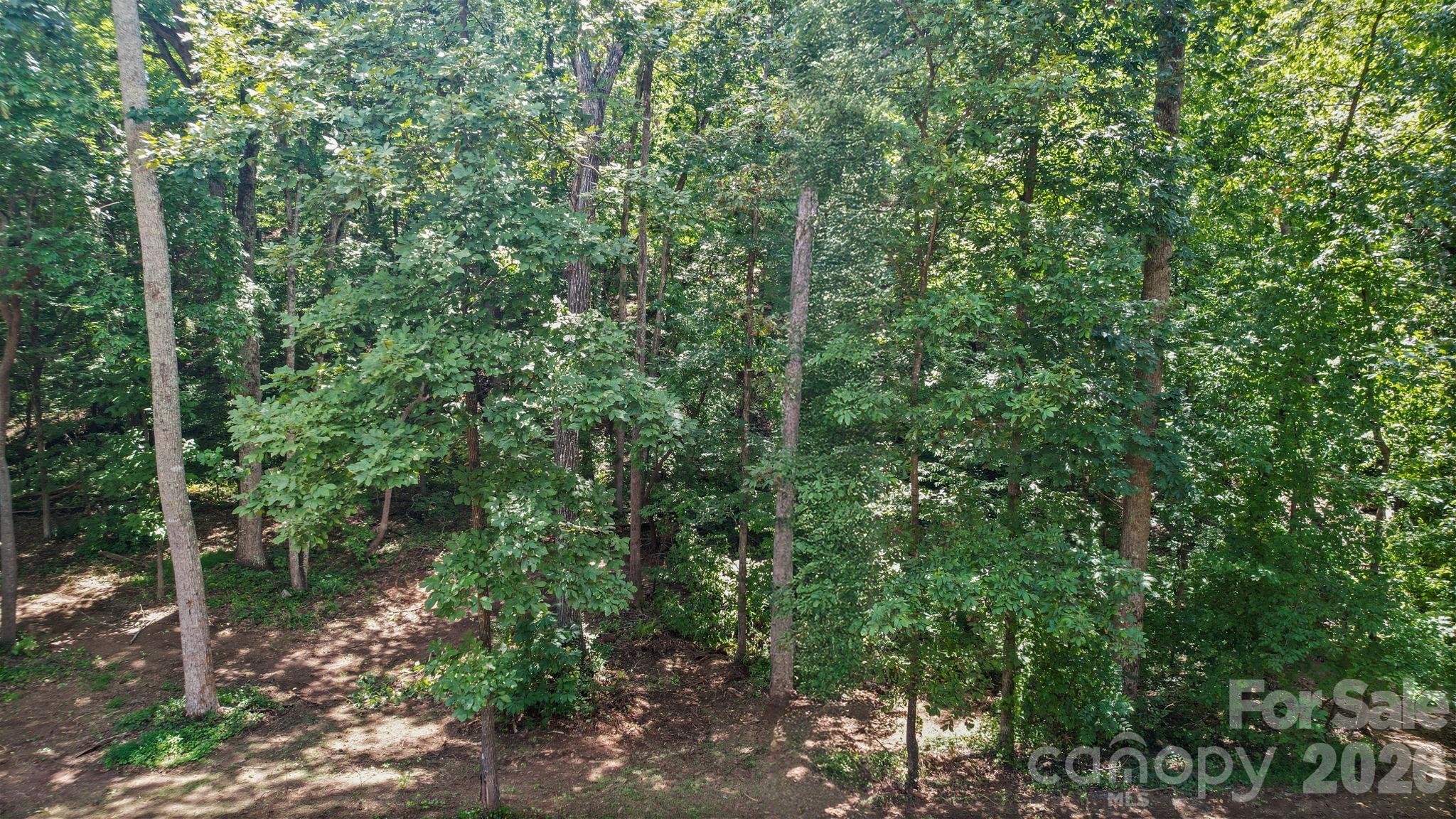 126 Hunters Field Way — Kings Mountain