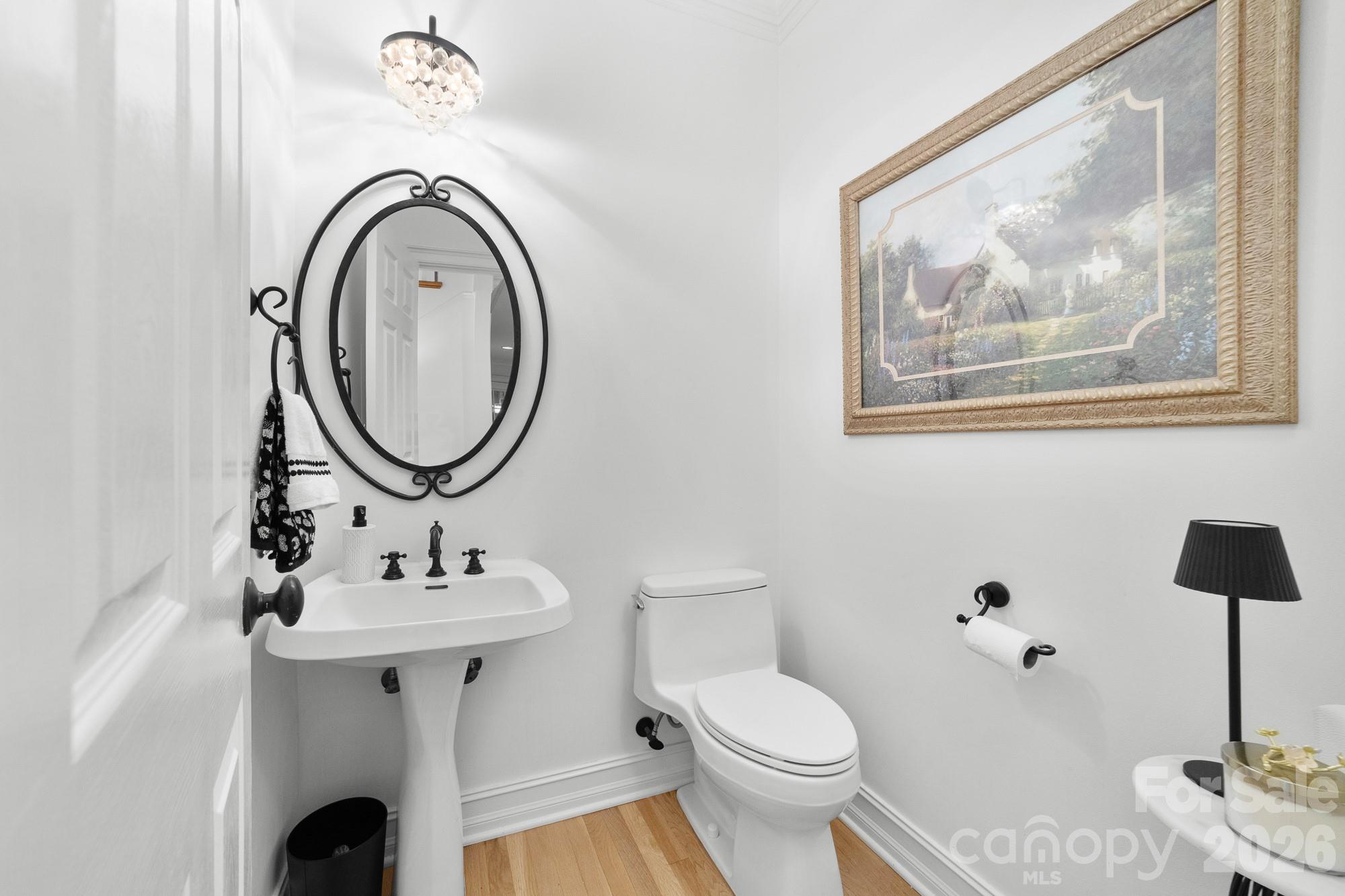21300 Blakely Shores Drive — Cornelius