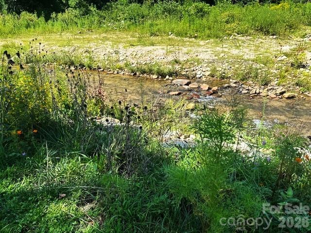 45 Reedy Creek Court — Hendersonville