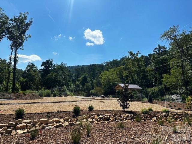 45 Reedy Creek Court — Hendersonville