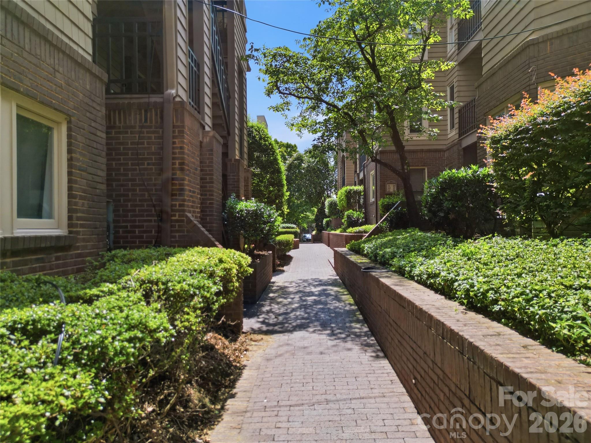 1109 E Morehead Street #16 — Charlotte