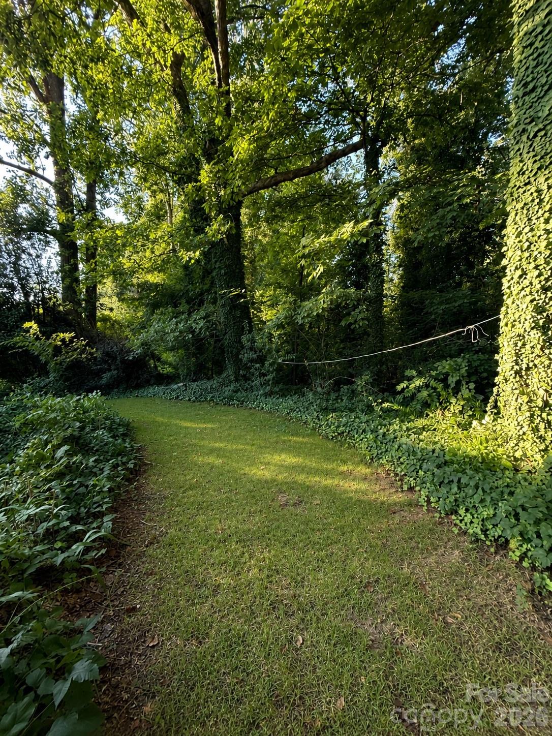 6124 Donna Drive — Charlotte