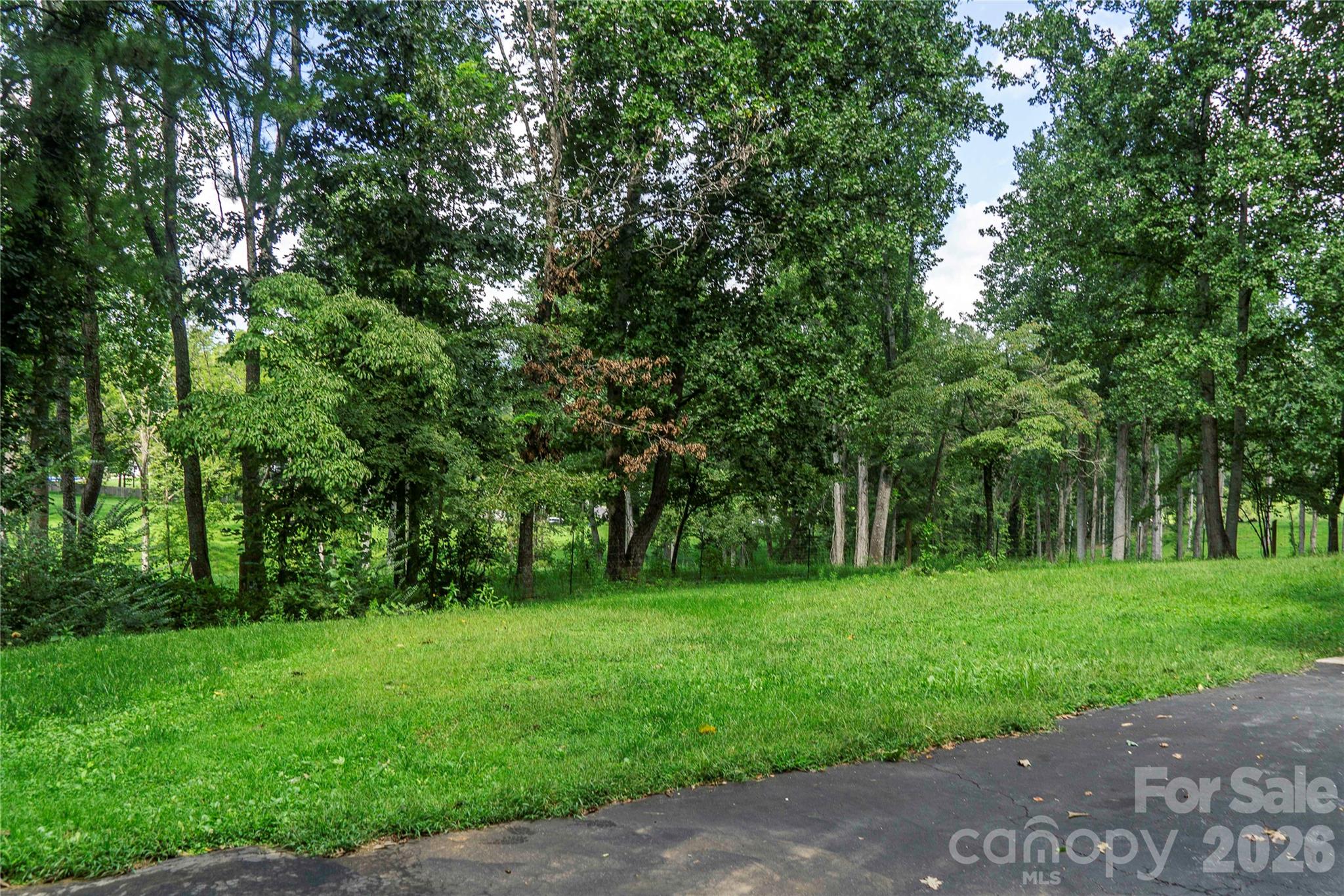 15 Pete Luther Road — Candler