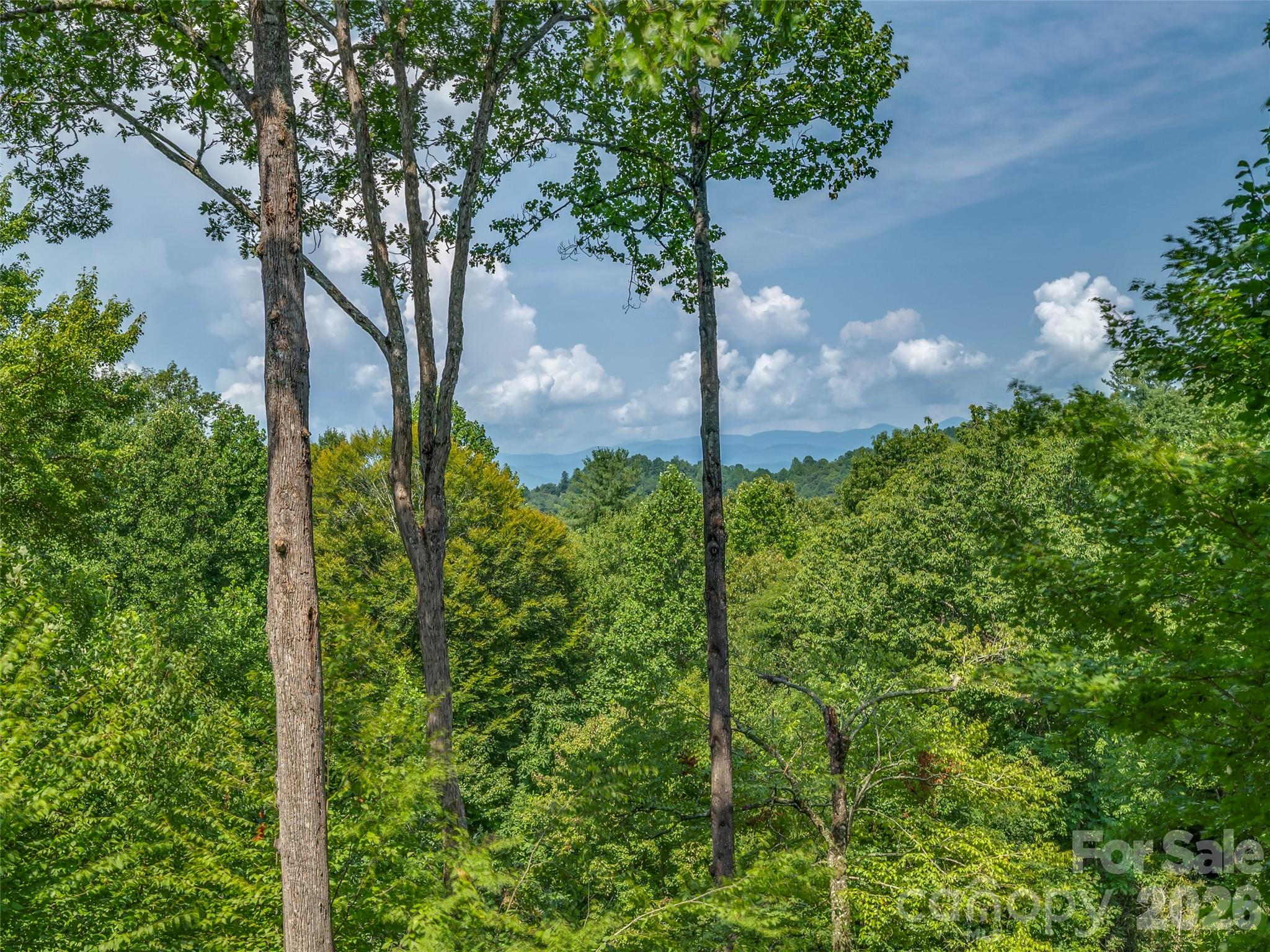 75 Old Hickory Trail — Hendersonville