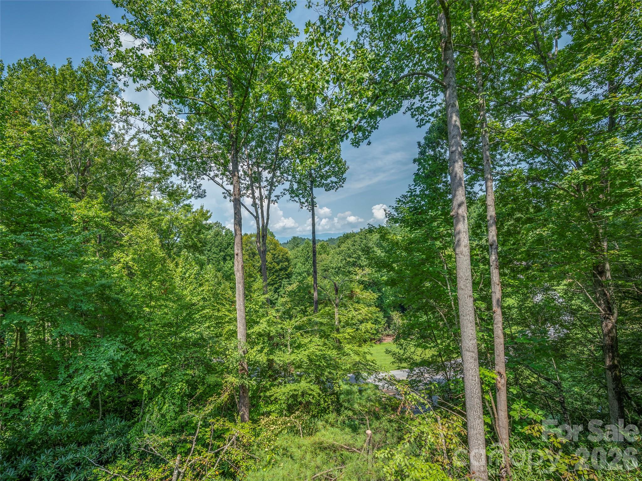 75 Old Hickory Trail — Hendersonville