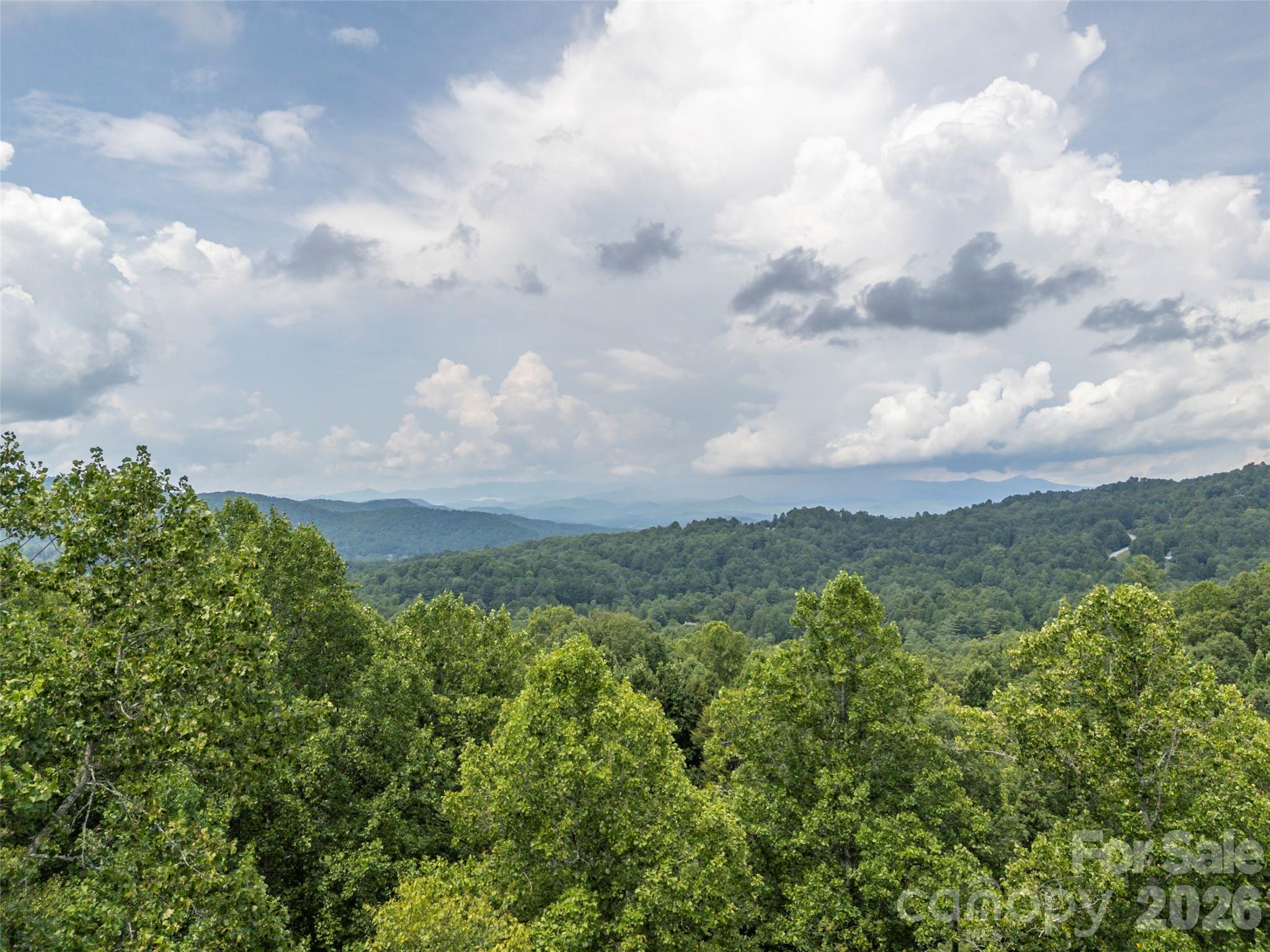 75 Old Hickory Trail — Hendersonville