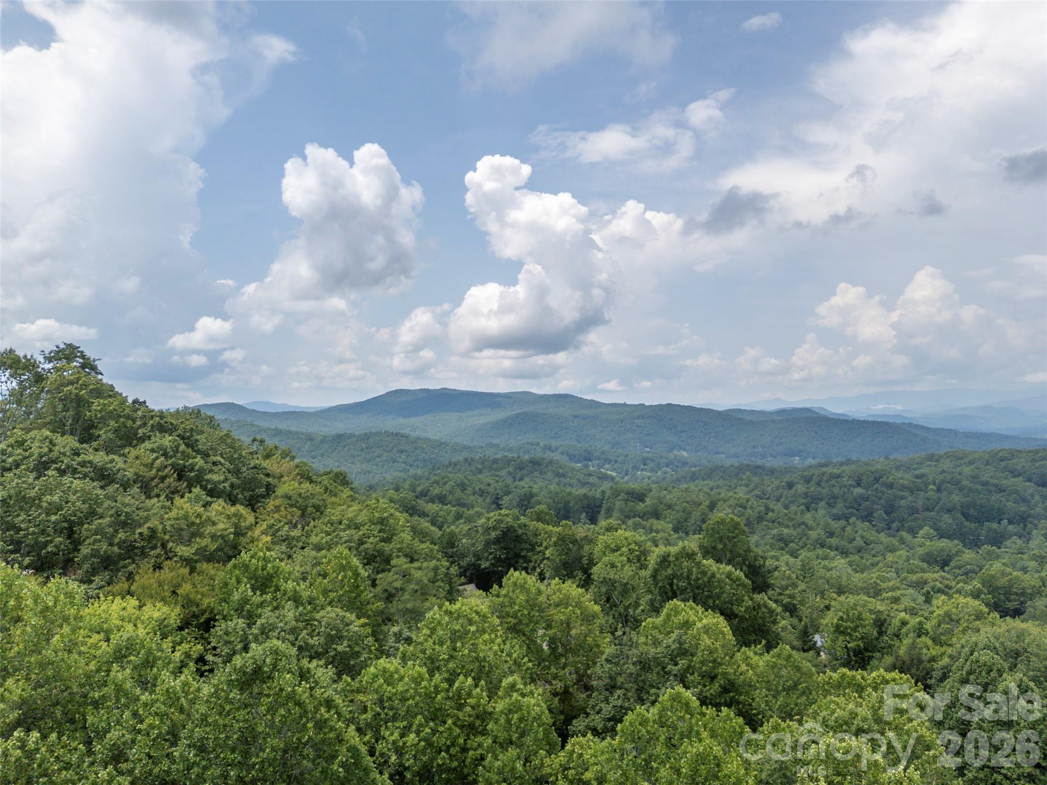 75 Old Hickory Trail — Hendersonville