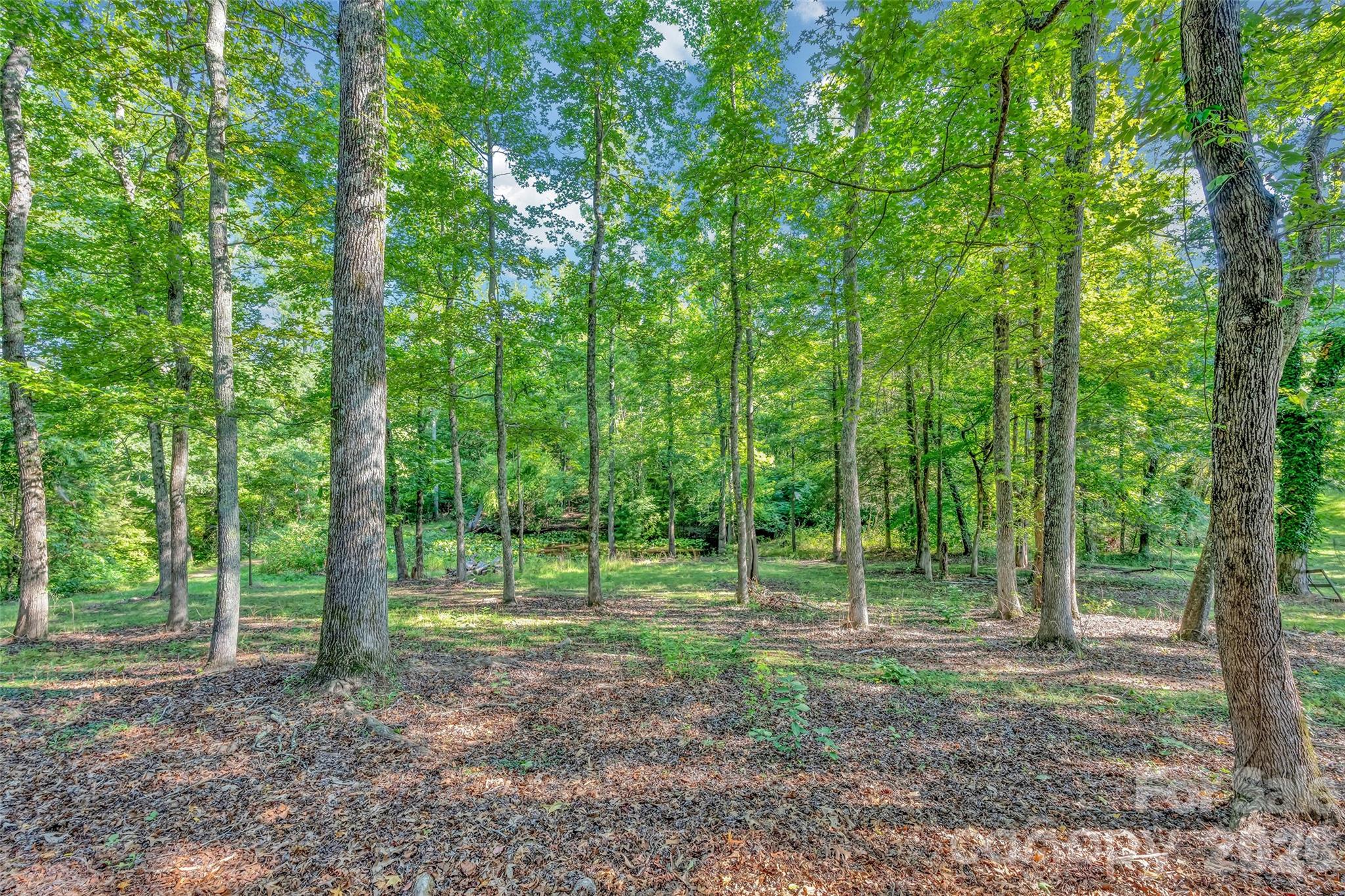 2440 Mount Lebanon Road — Campobello
