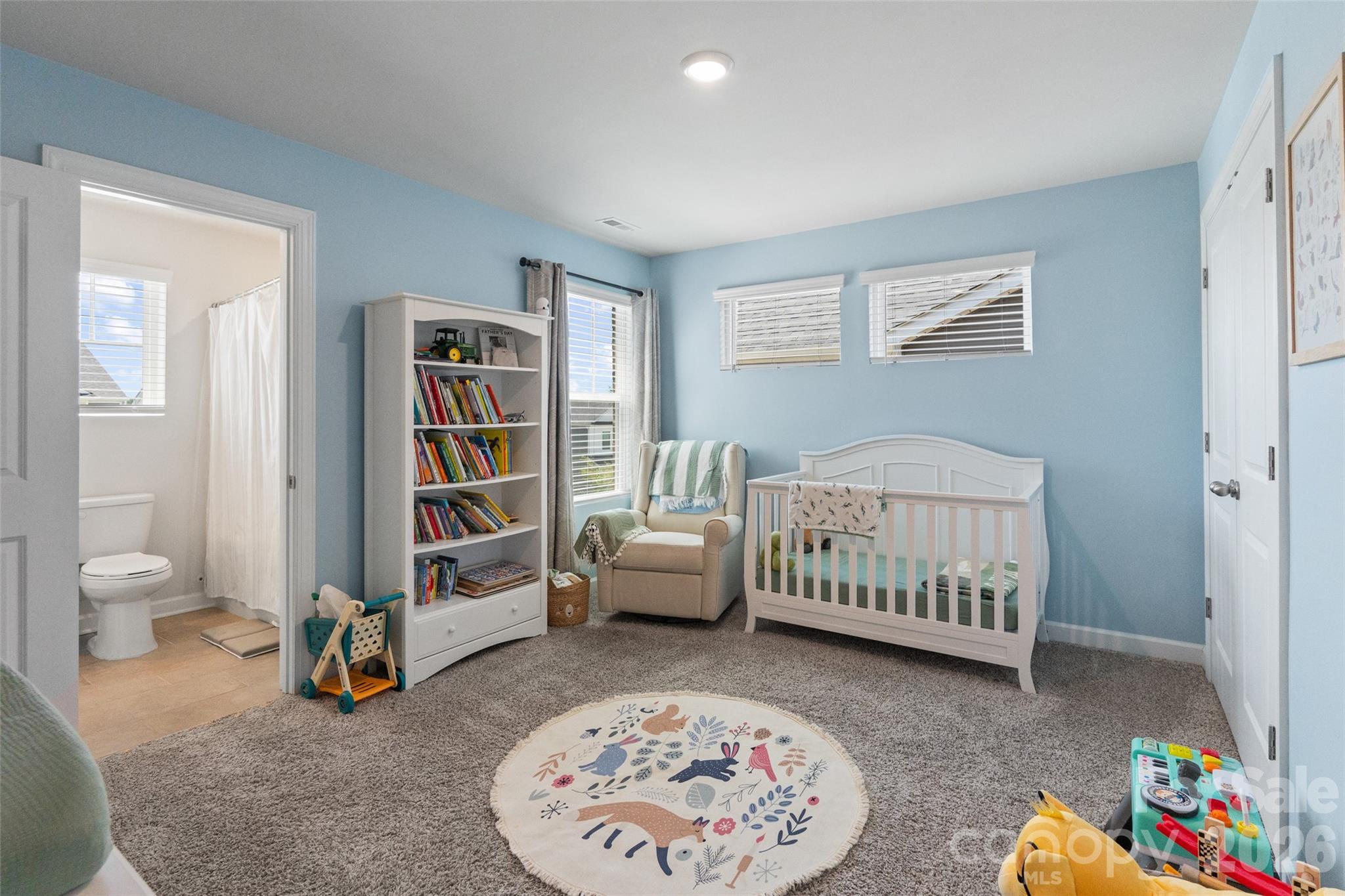 322 Hyssop Court — Fort Mill