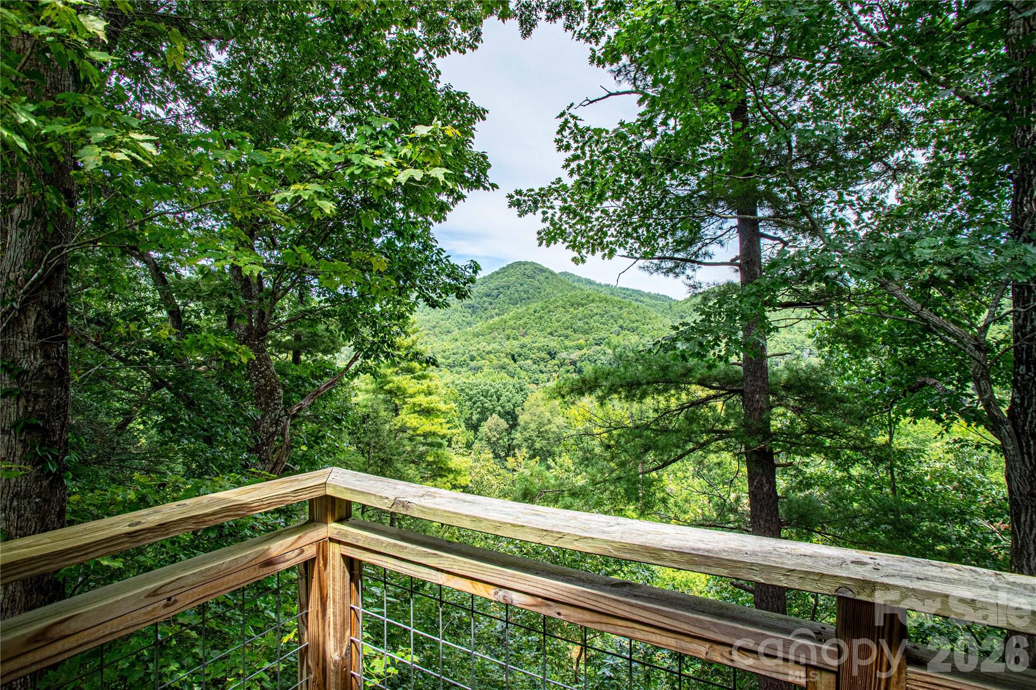 1295 Paint Rock Road — Hot Springs
