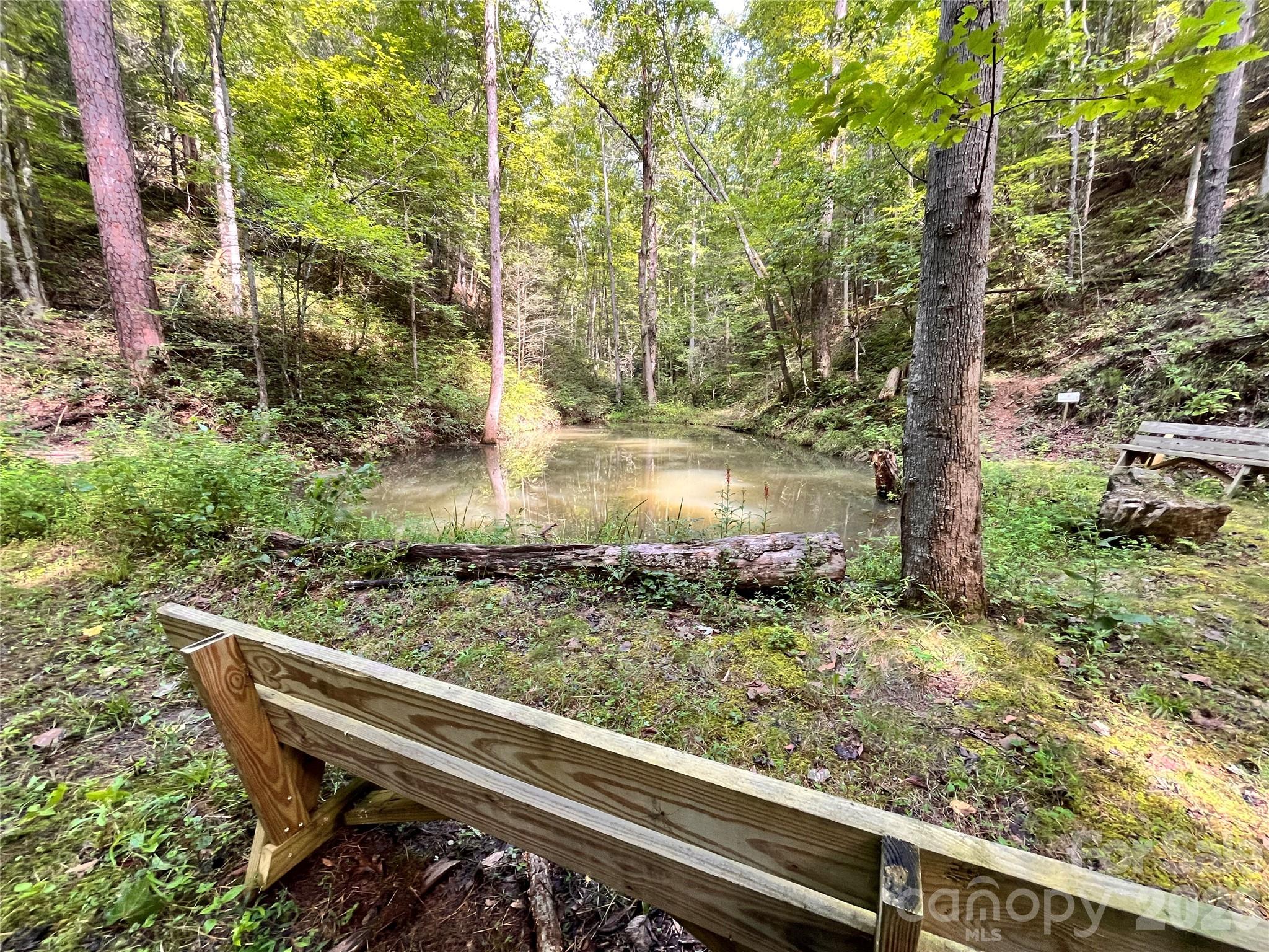 1295 Paint Rock Road — Hot Springs