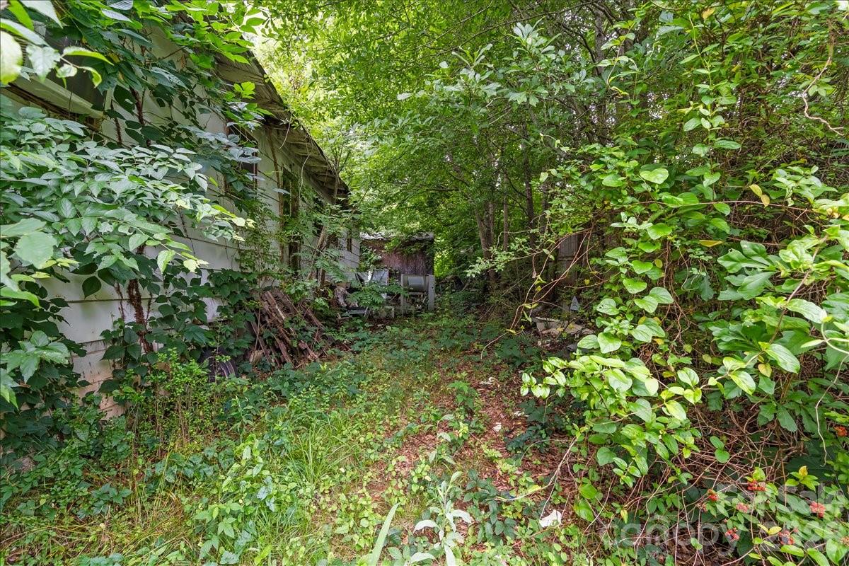 668 Childers Street — Belmont