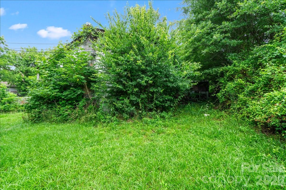 668 Childers Street — Belmont