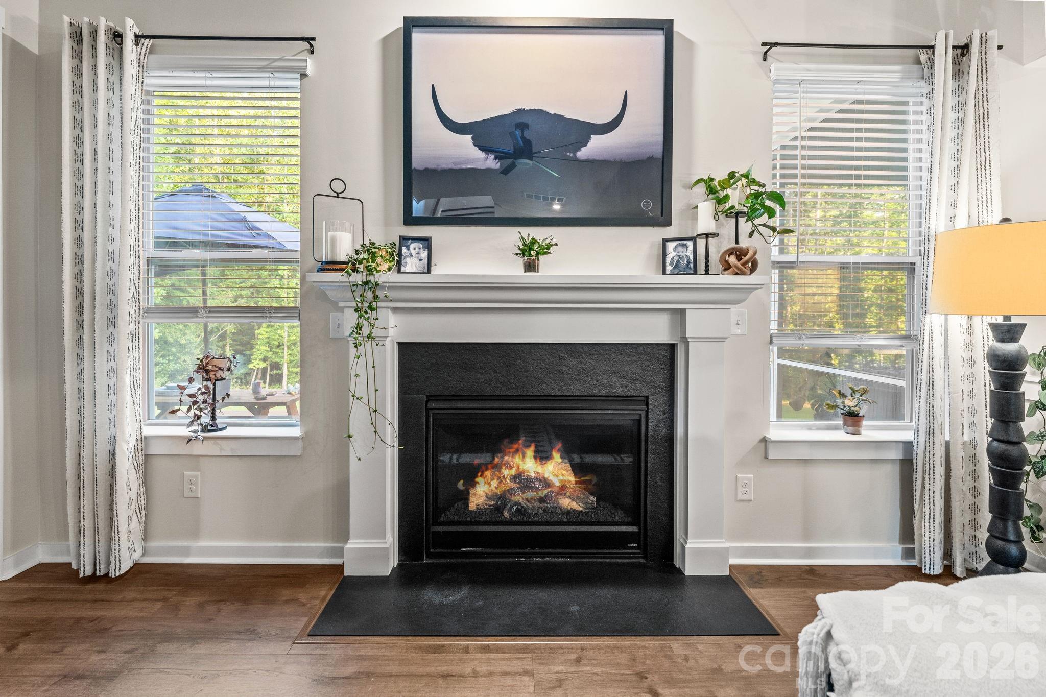 4298 Brandy Creek Court — Clover