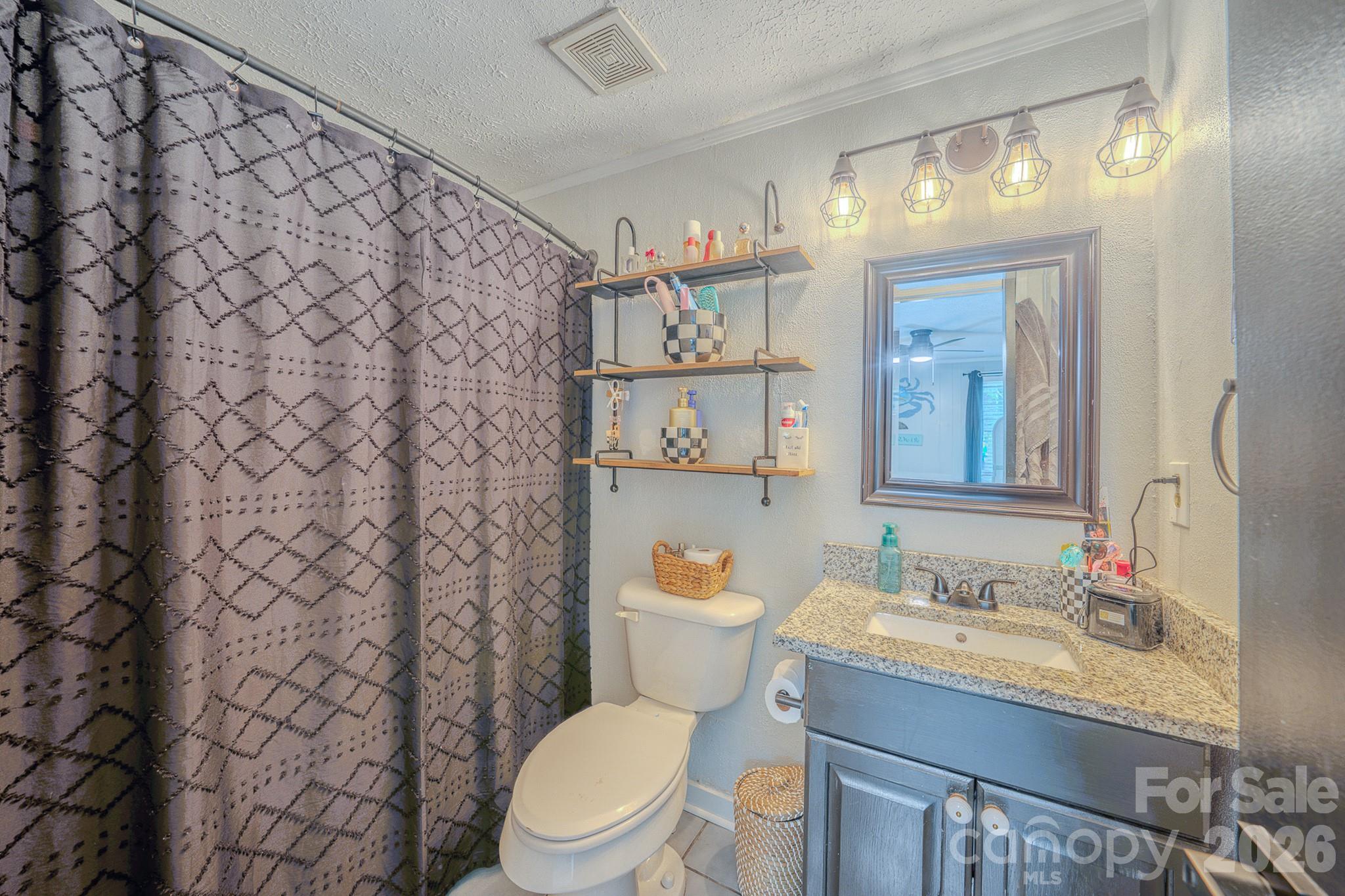 38 Ferenvilla Drive — Hendersonville