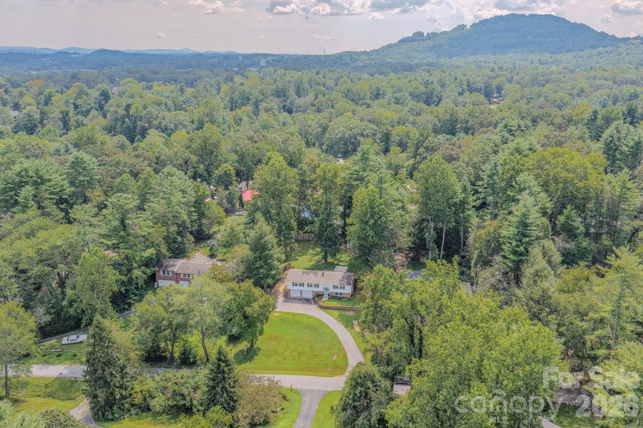 38 Ferenvilla Drive — Hendersonville