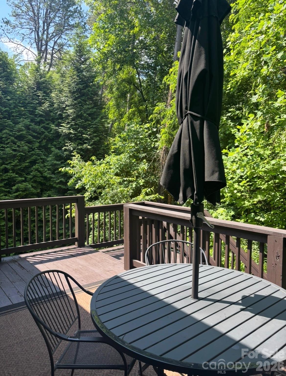 33 Gray Duster Circle — Biltmore Lake