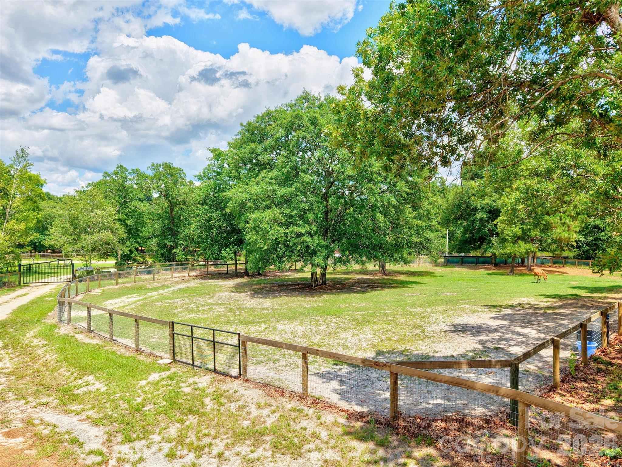 1377 Pine Road — Camden