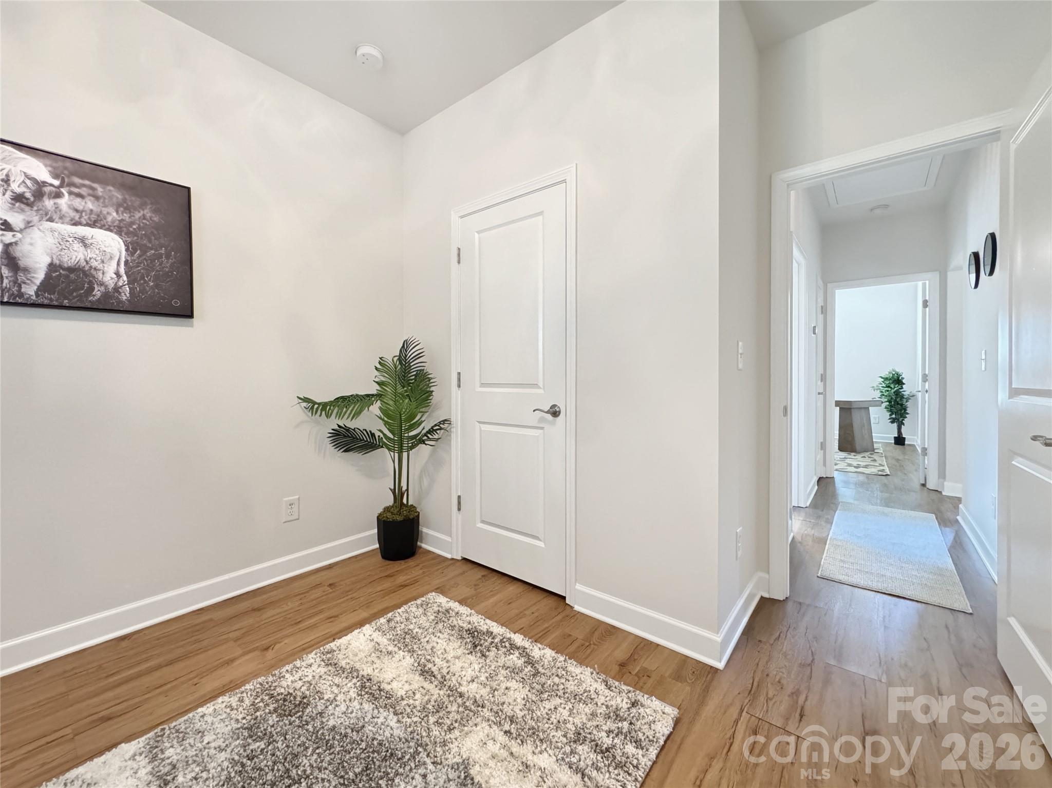 404 Skipwith Place — Charlotte
