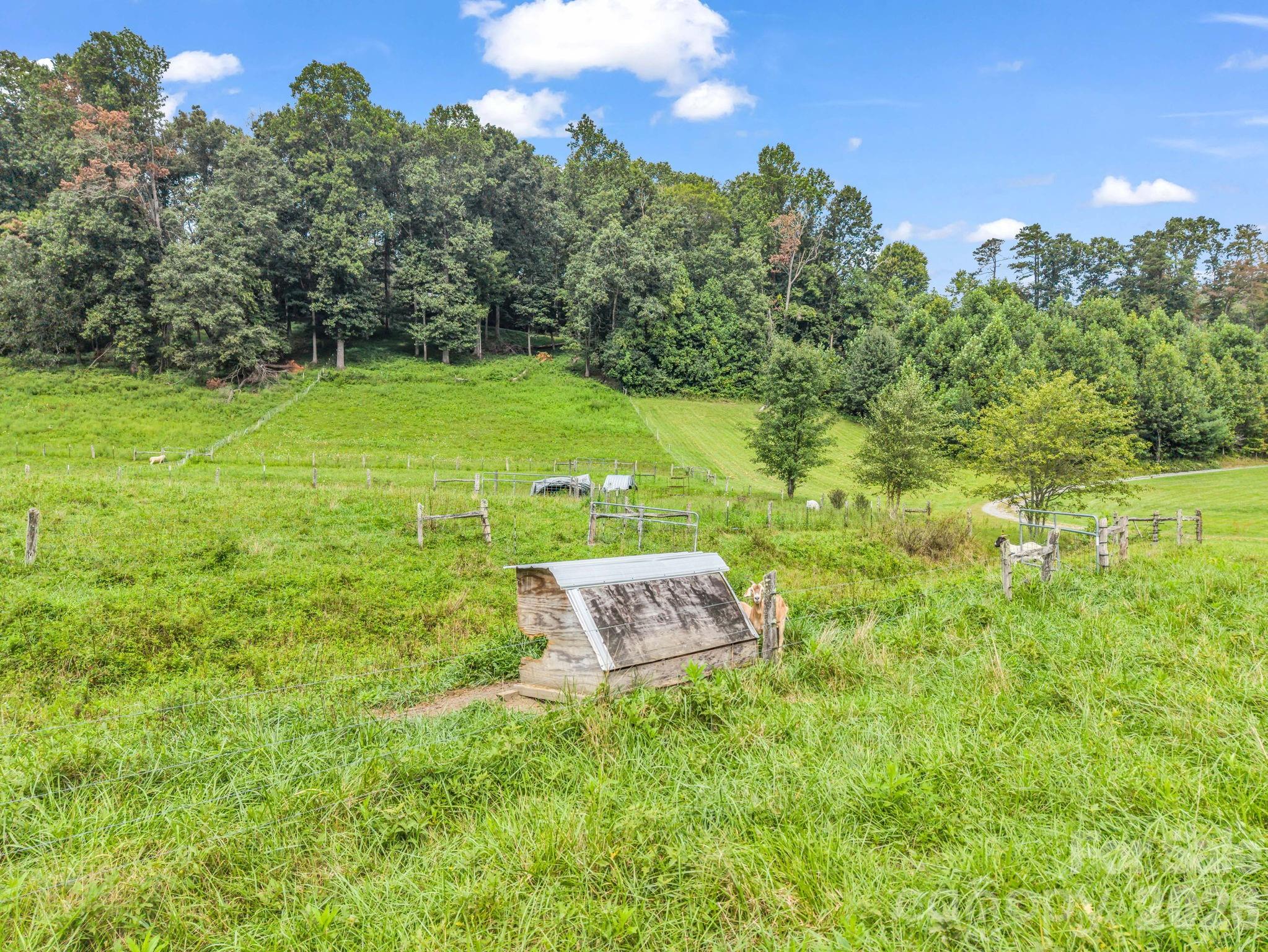 136 Limousine Lane — Pisgah Forest