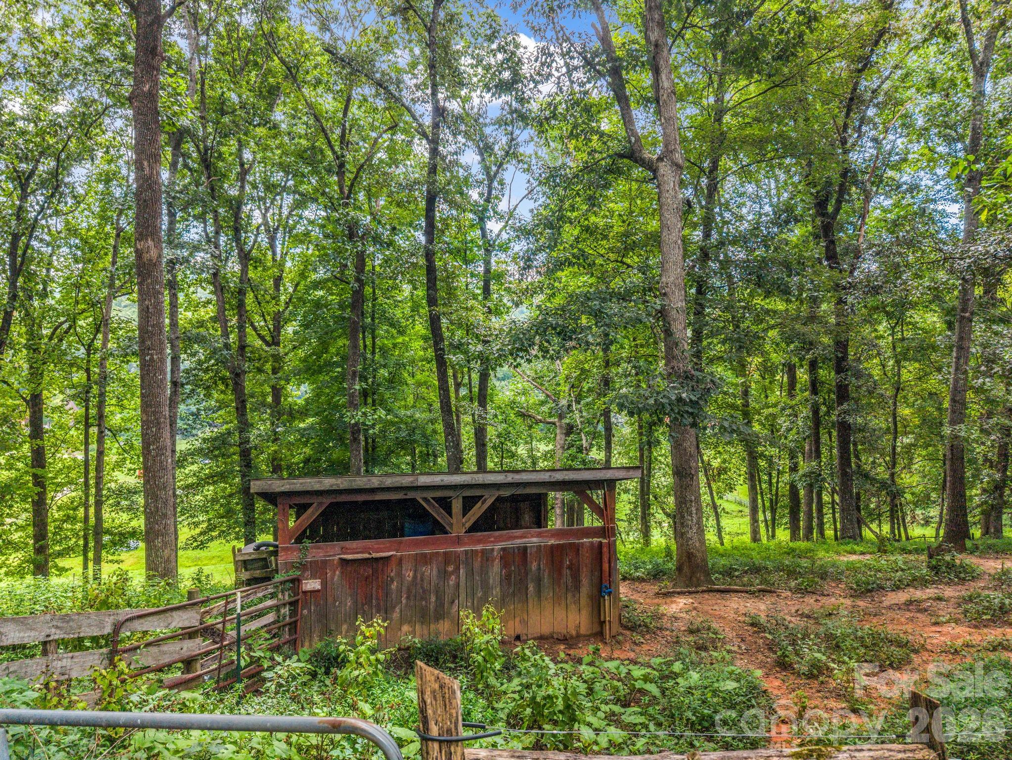 136 Limousine Lane — Pisgah Forest