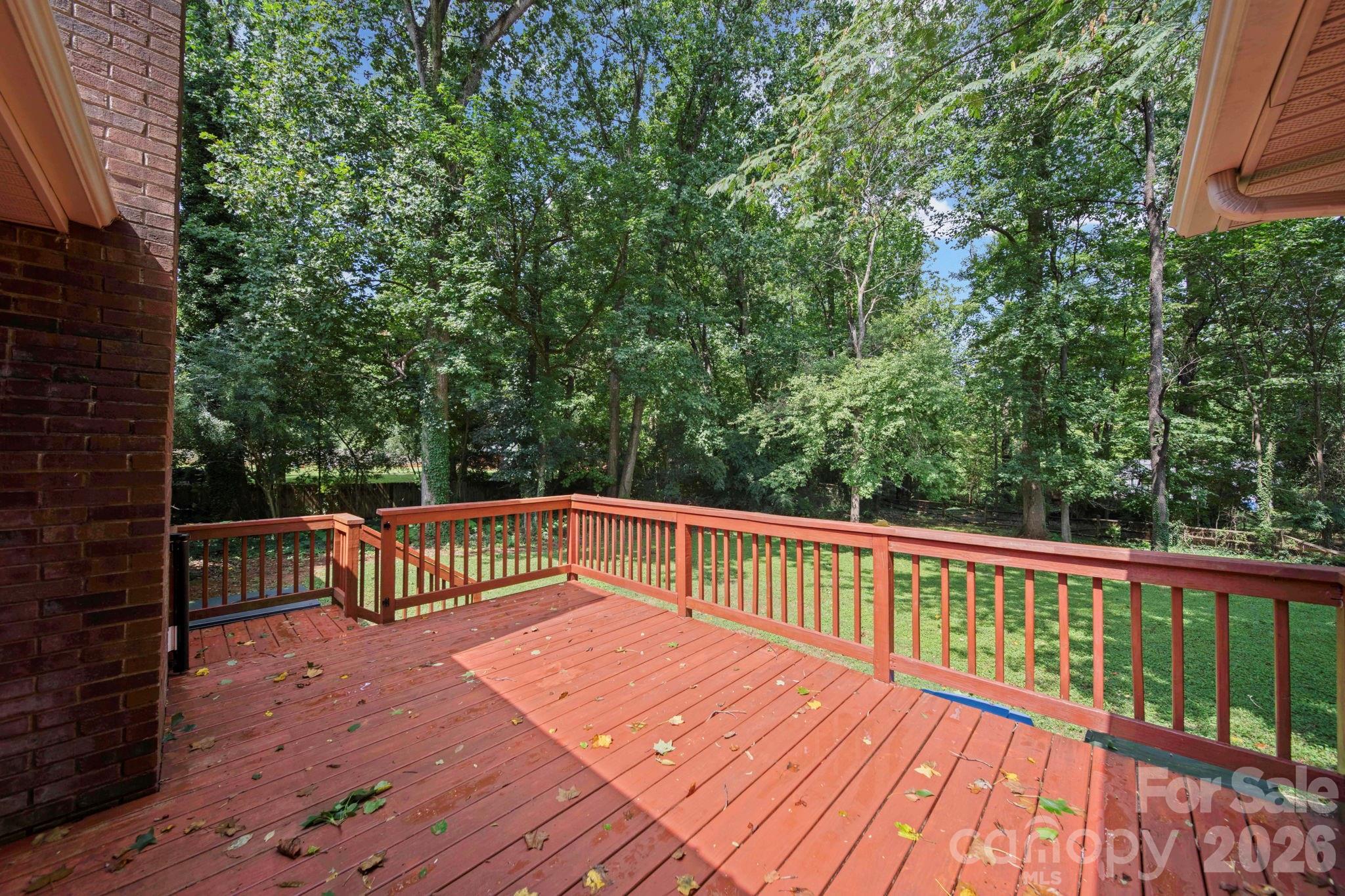 4710 Carving Tree Drive — Charlotte