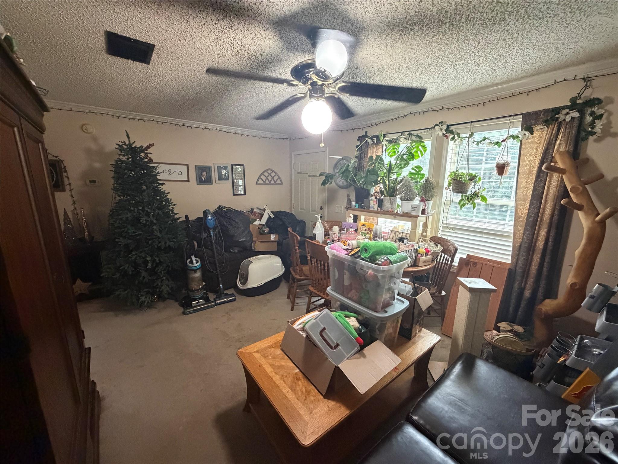 263 Coyote Pass Lane — Rutherfordton