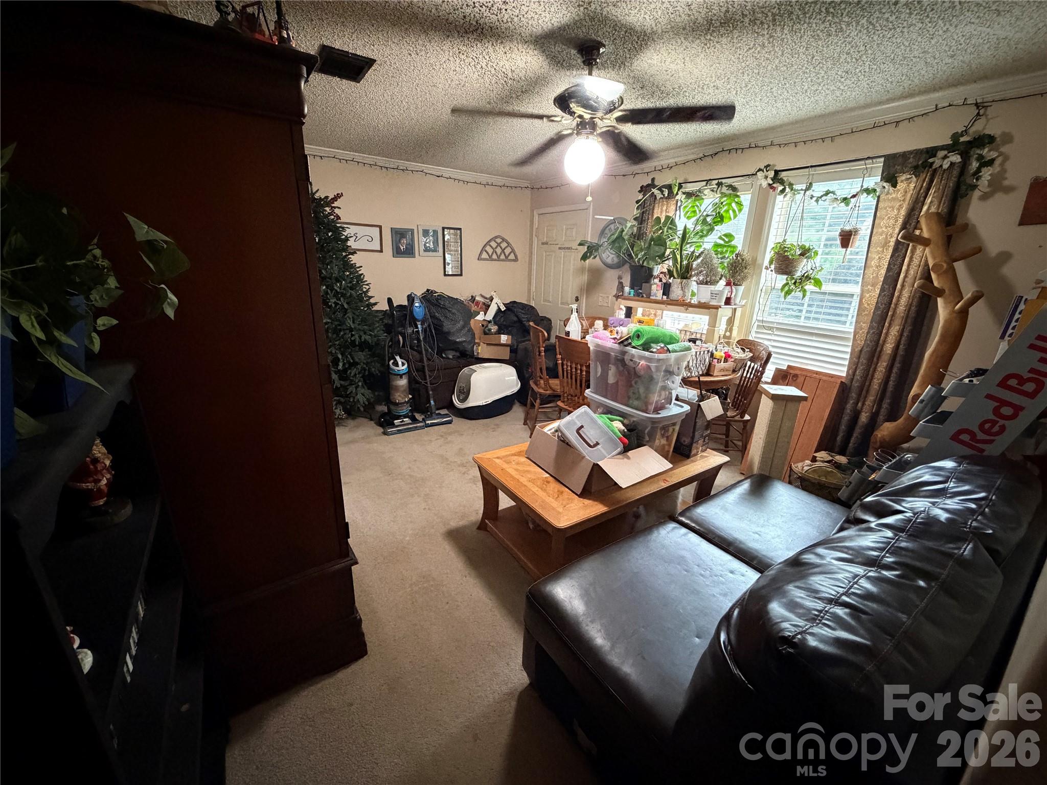 263 Coyote Pass Lane — Rutherfordton