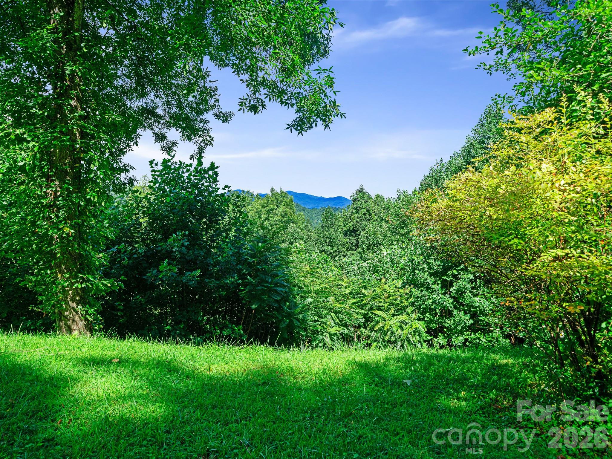 185 Blue Bird Lane — Spruce Pine