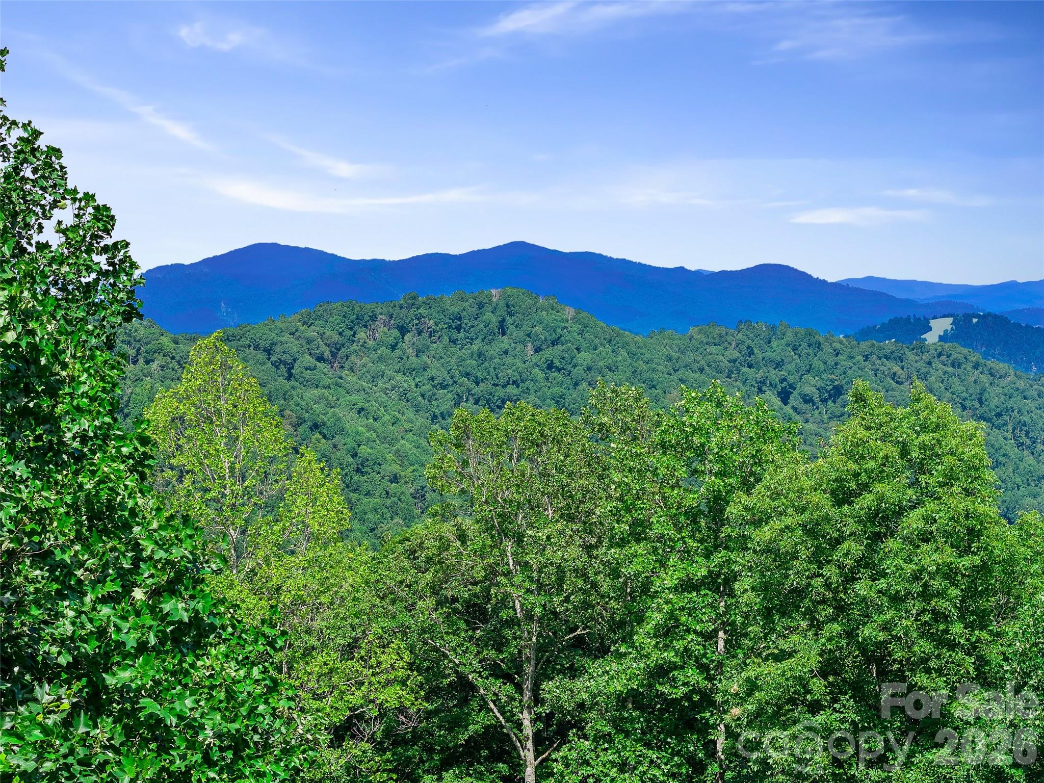 185 Blue Bird Lane — Spruce Pine