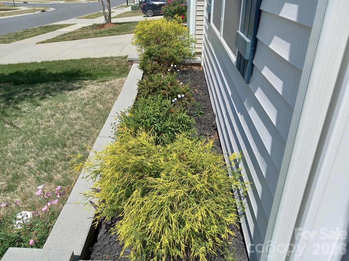 5108 Briscoe Drive — Charlotte