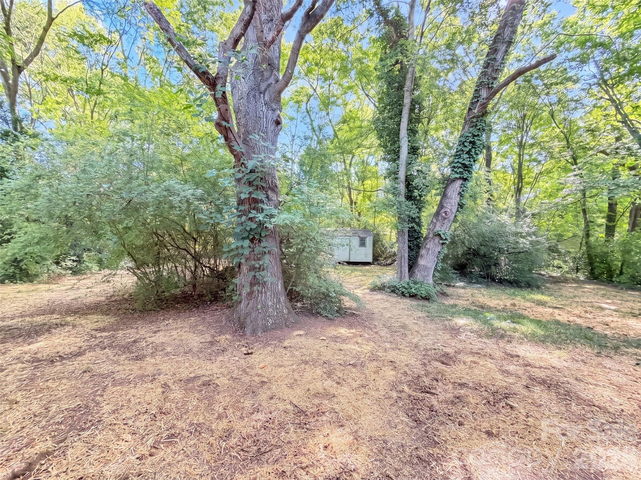 2717 O Hara Drive — Charlotte