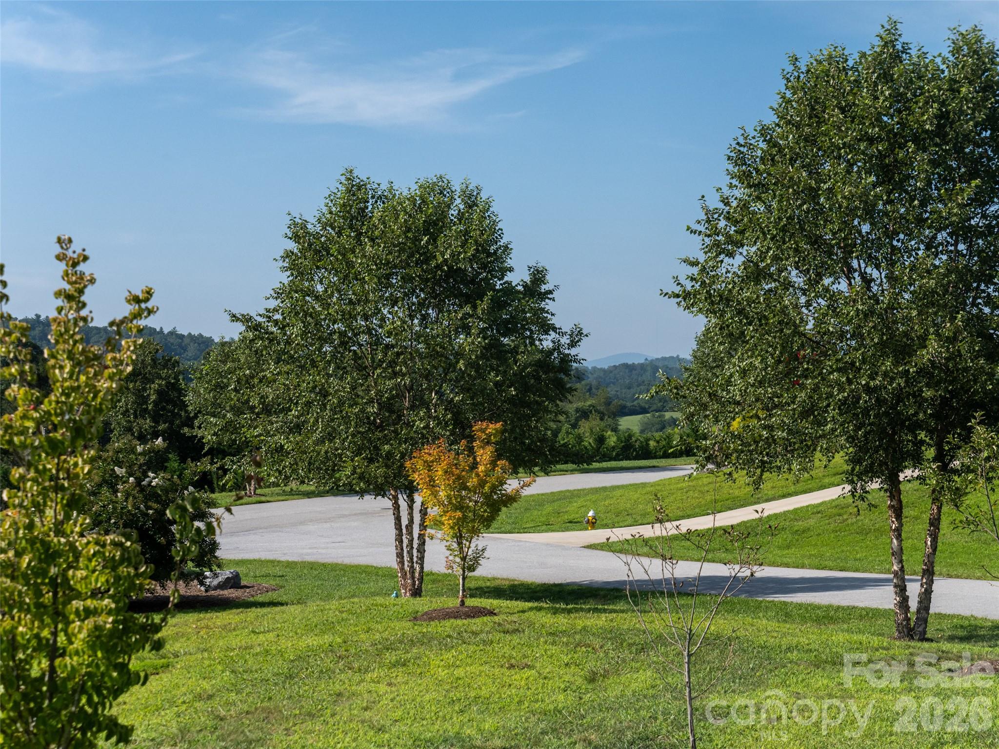46 Solomia Drive — Mills River
