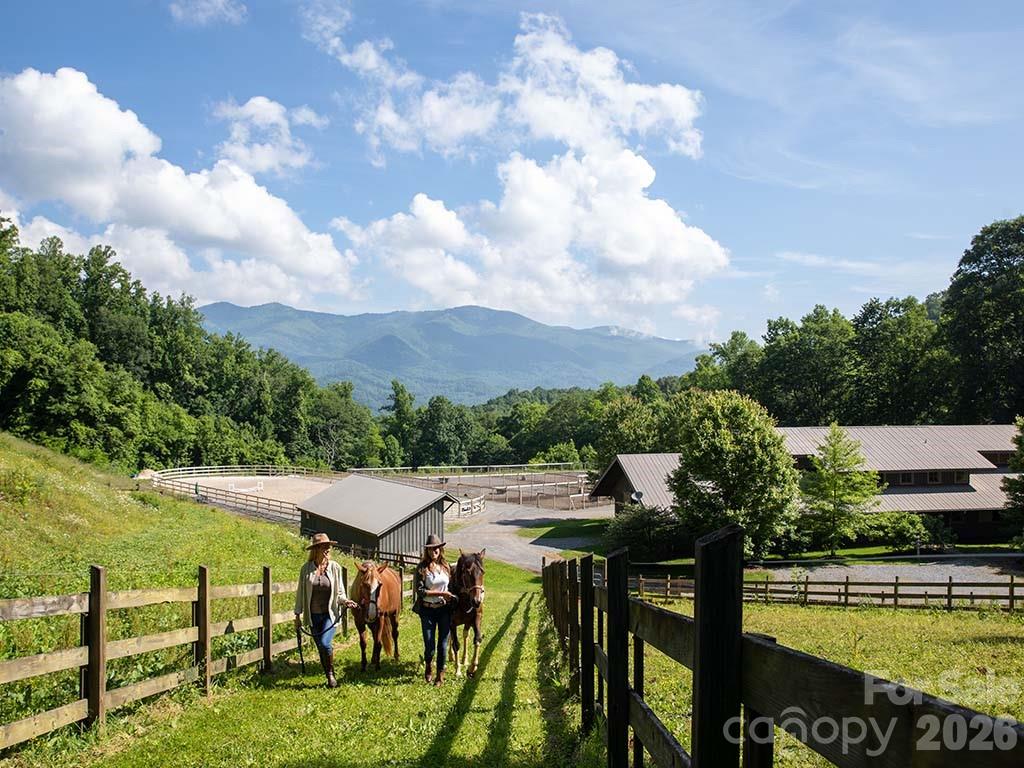 1243 Cook House Road #241 — Sylva