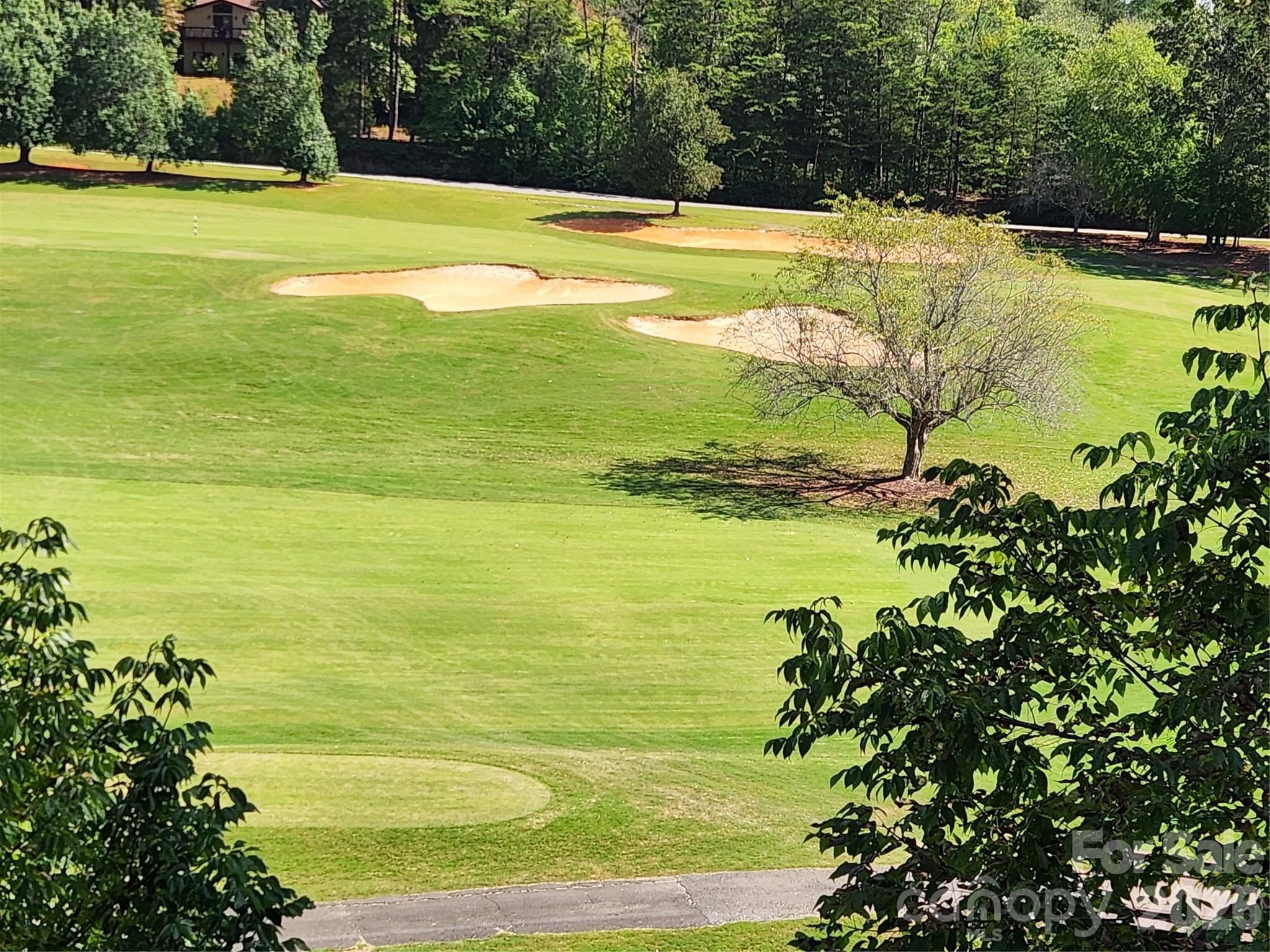 162 Stonecrest Court — Lake Lure