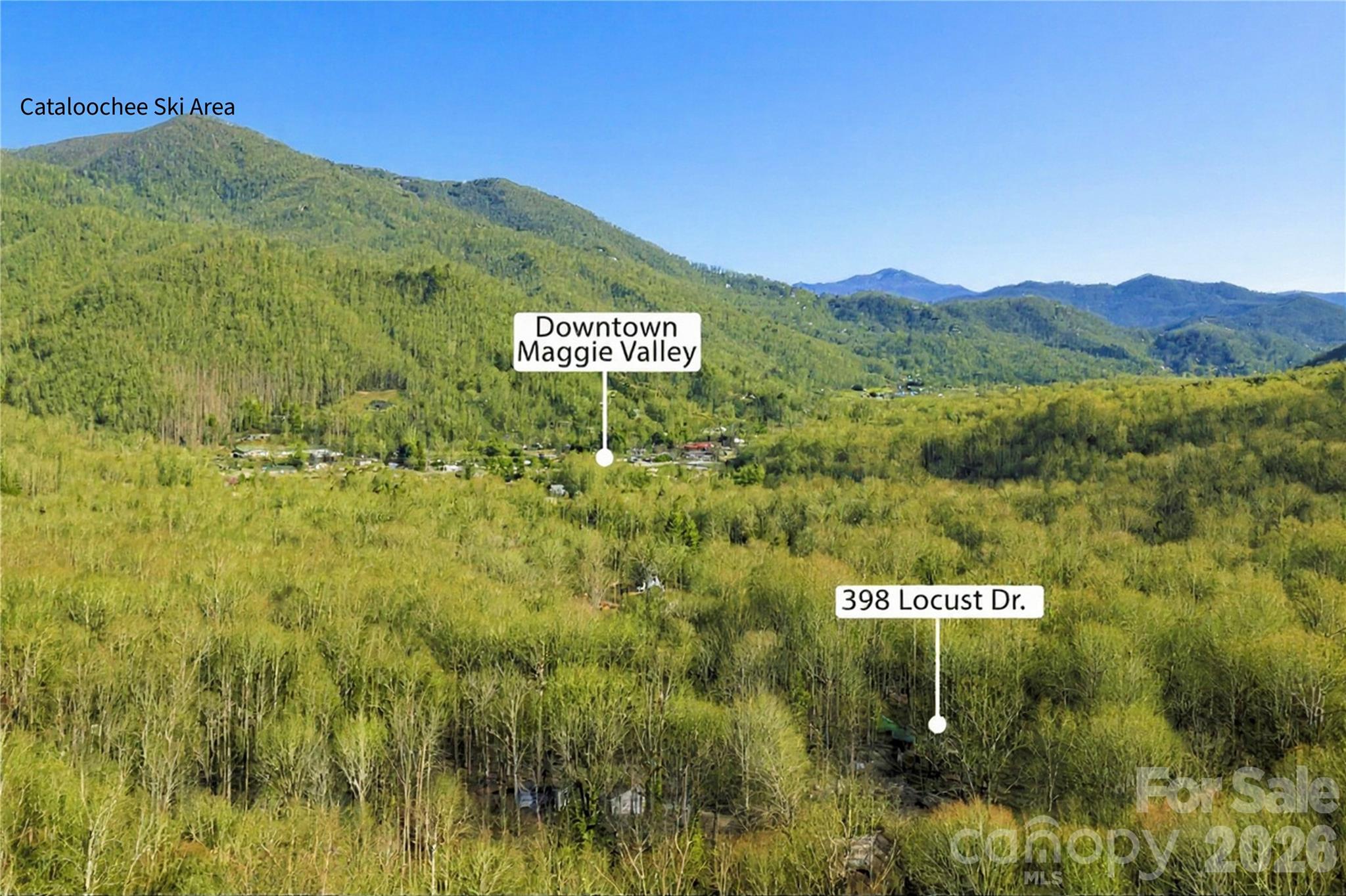 398 Locust Drive — Maggie Valley