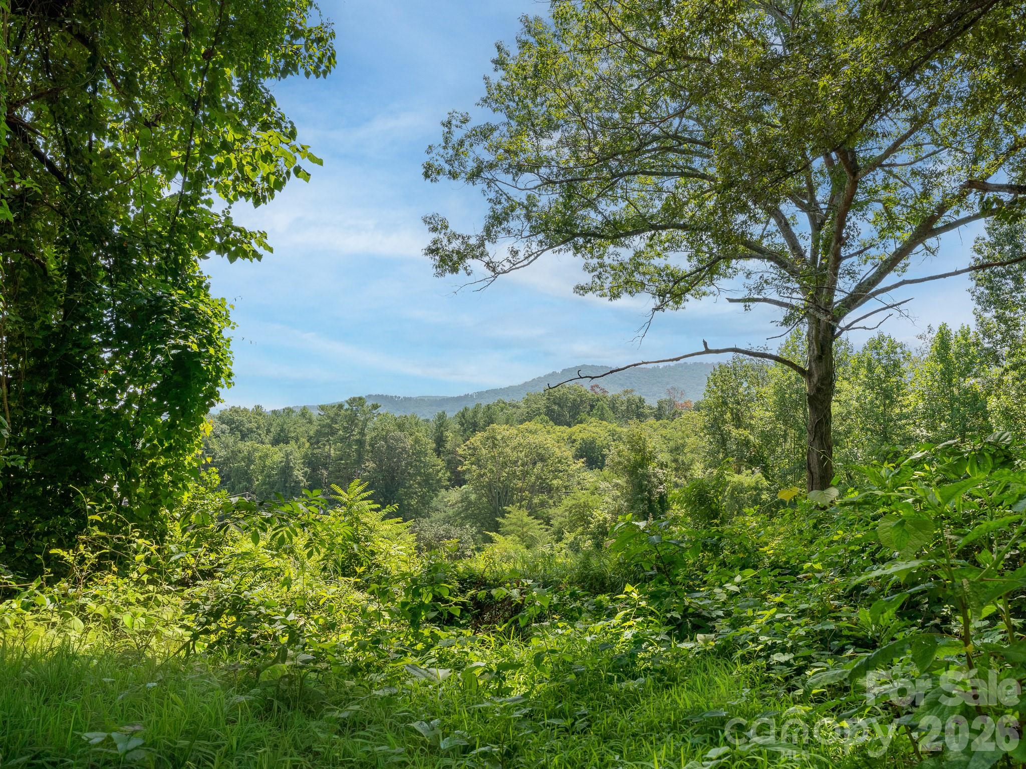 195 Shiloh Road — Asheville