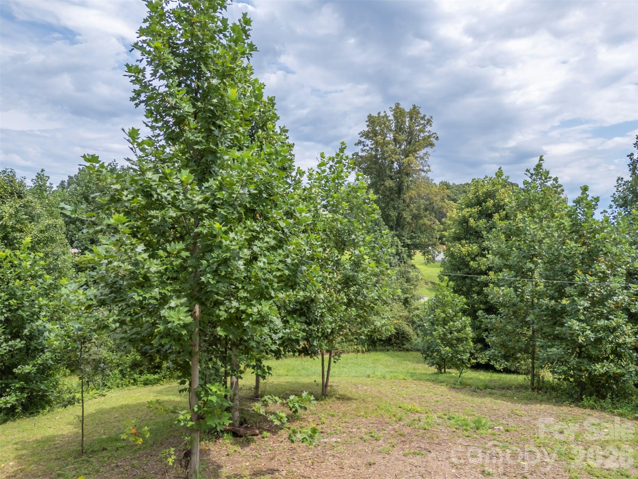 375 E King Street — East Flat Rock