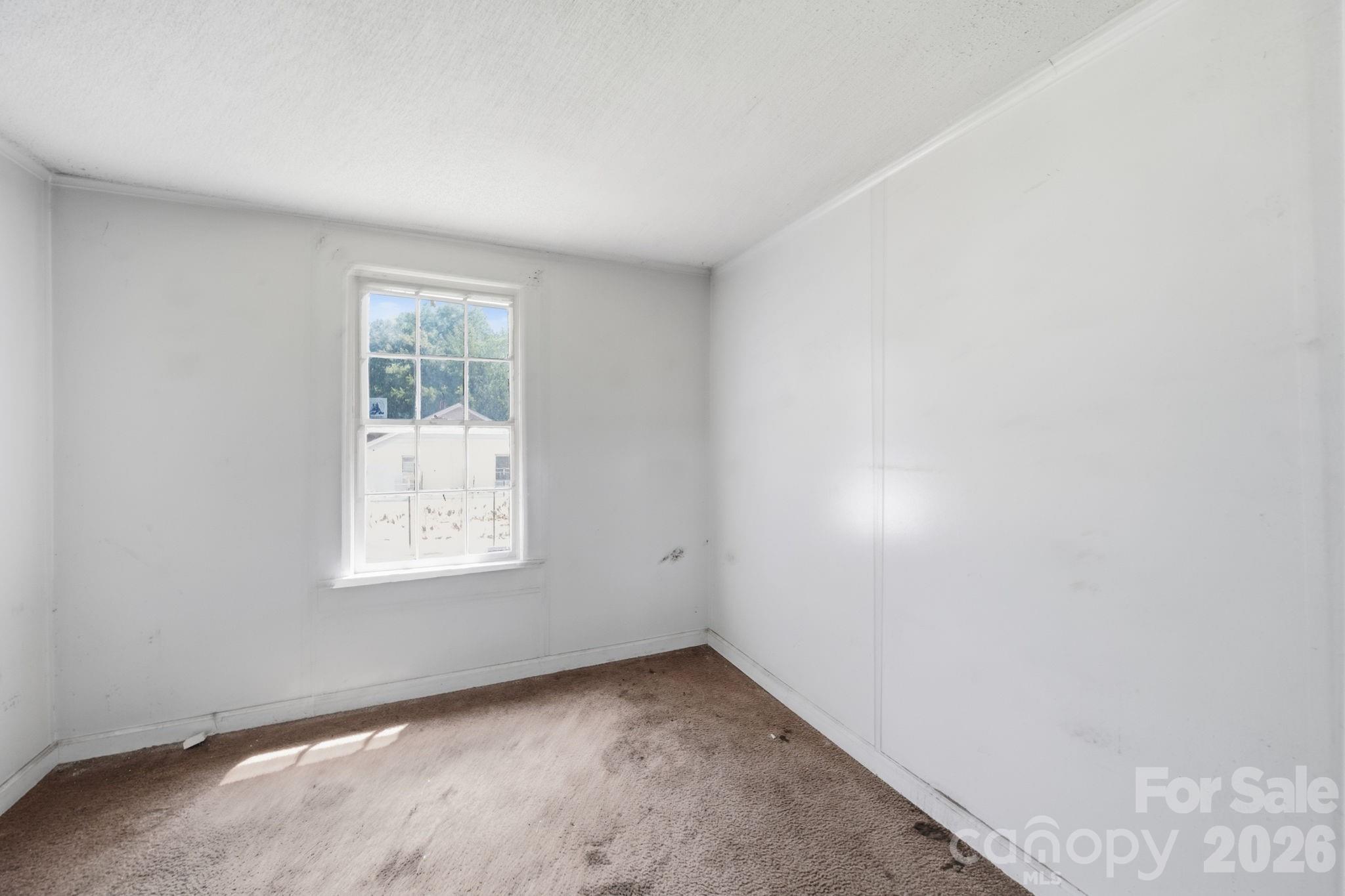 439 Richardson Street — Albemarle