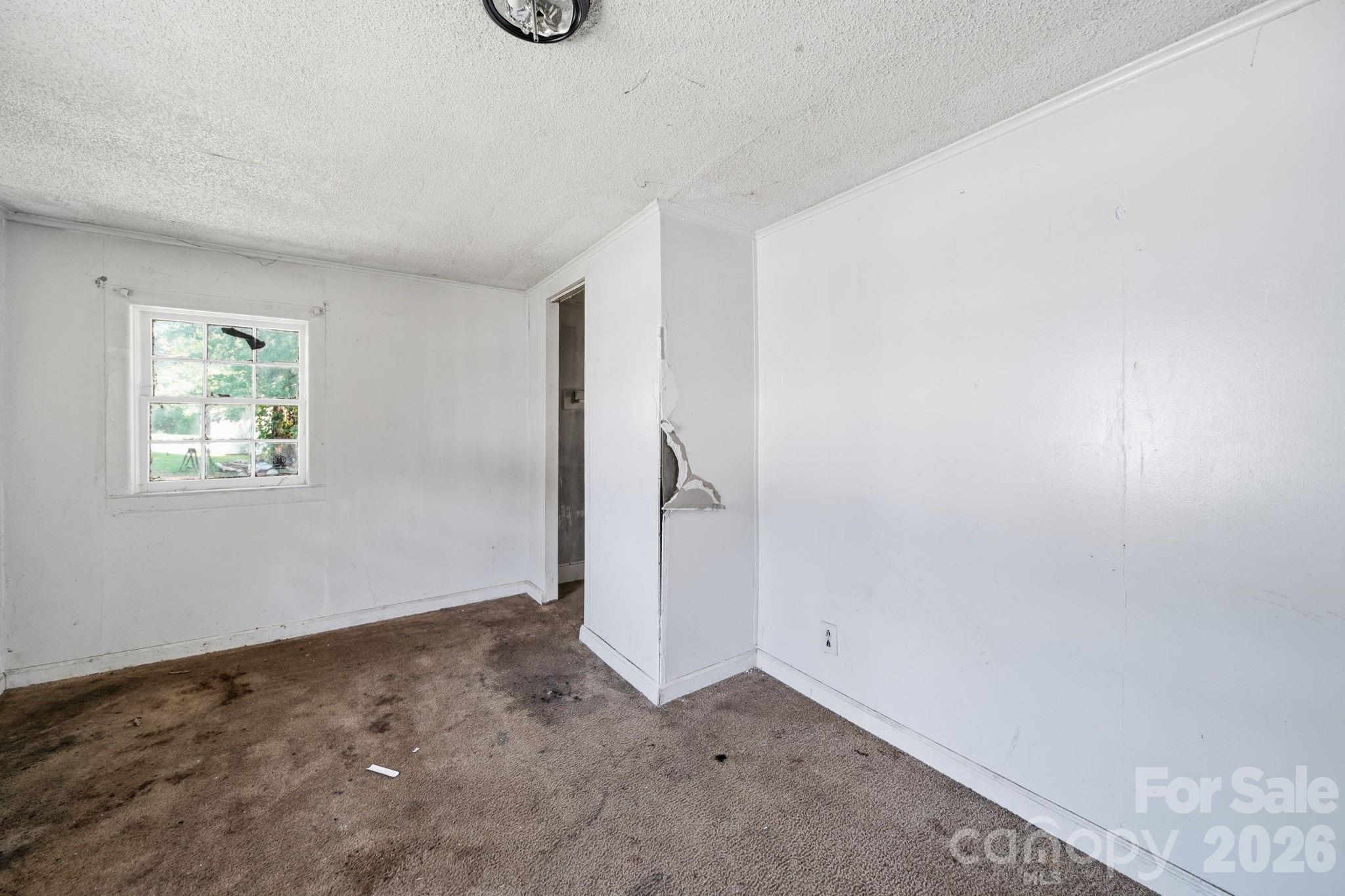 439 Richardson Street — Albemarle
