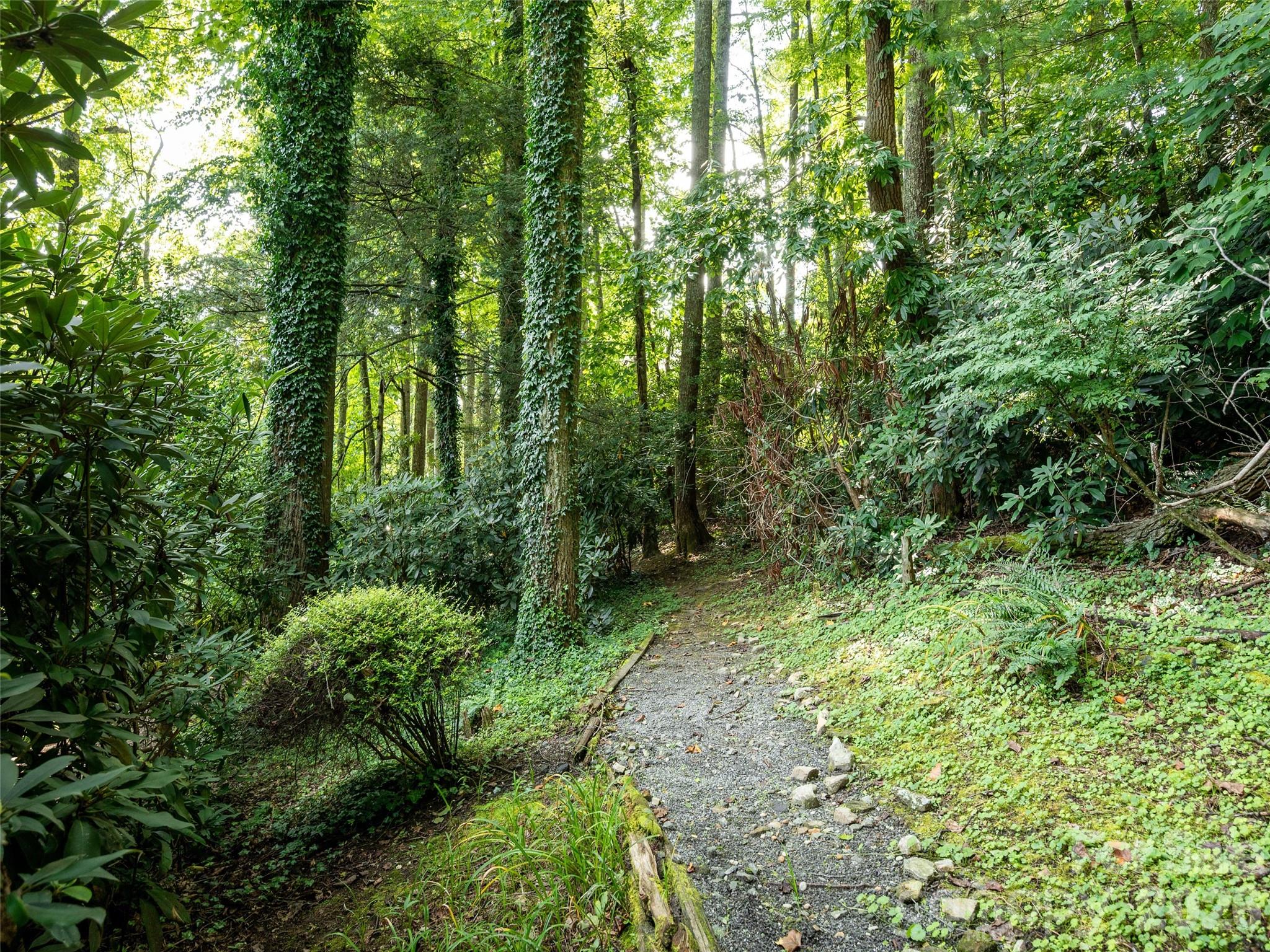 211 Ginseng Lane — Hendersonville