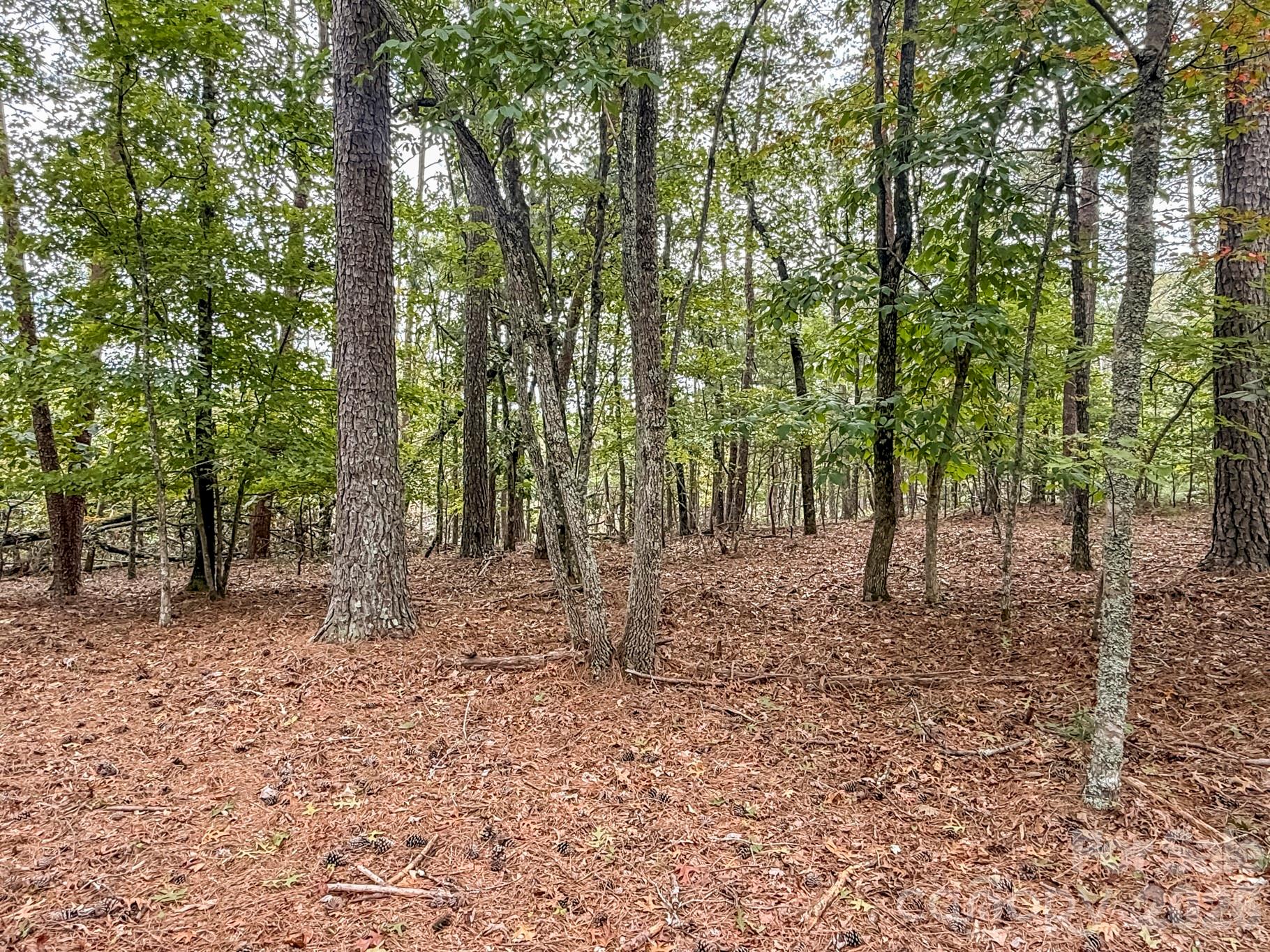 253 Nors Way — Lake Lure