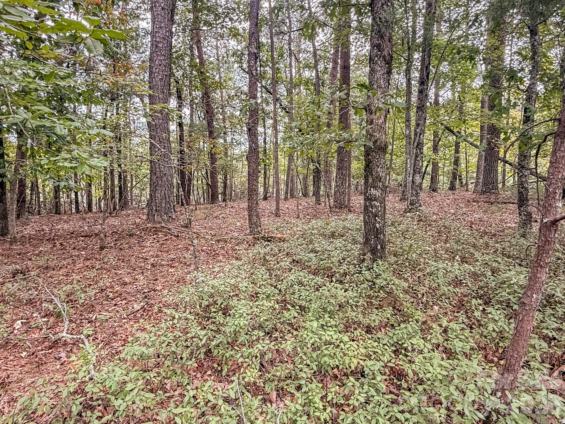 253 Nors Way — Lake Lure