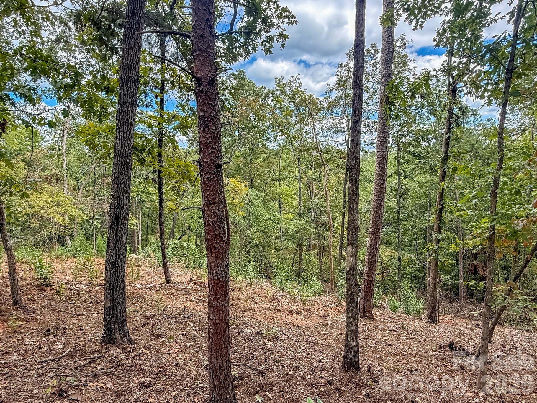 253 Nors Way — Lake Lure