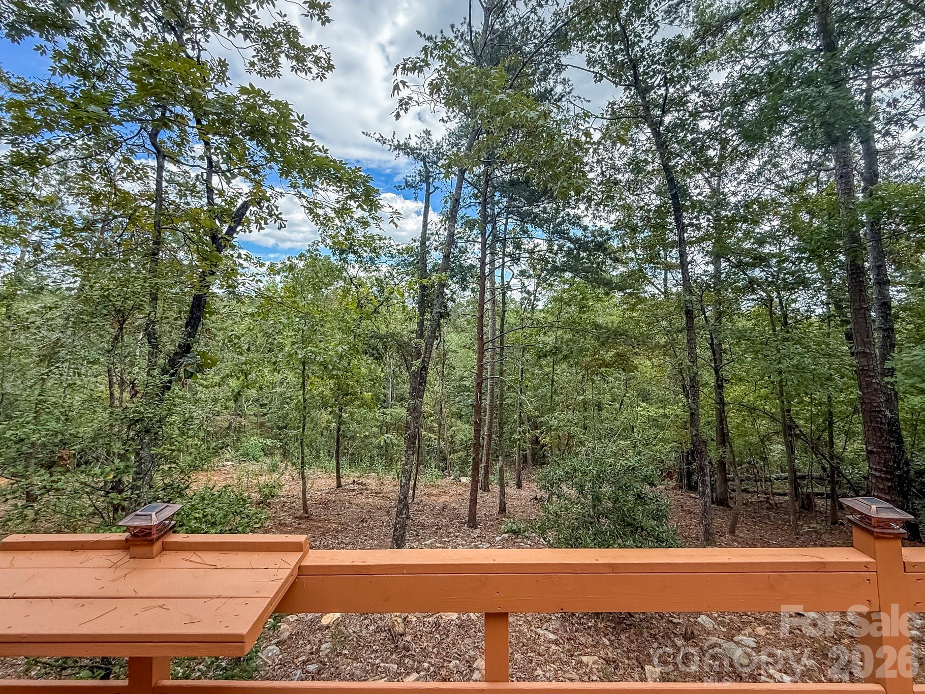 253 Nors Way — Lake Lure