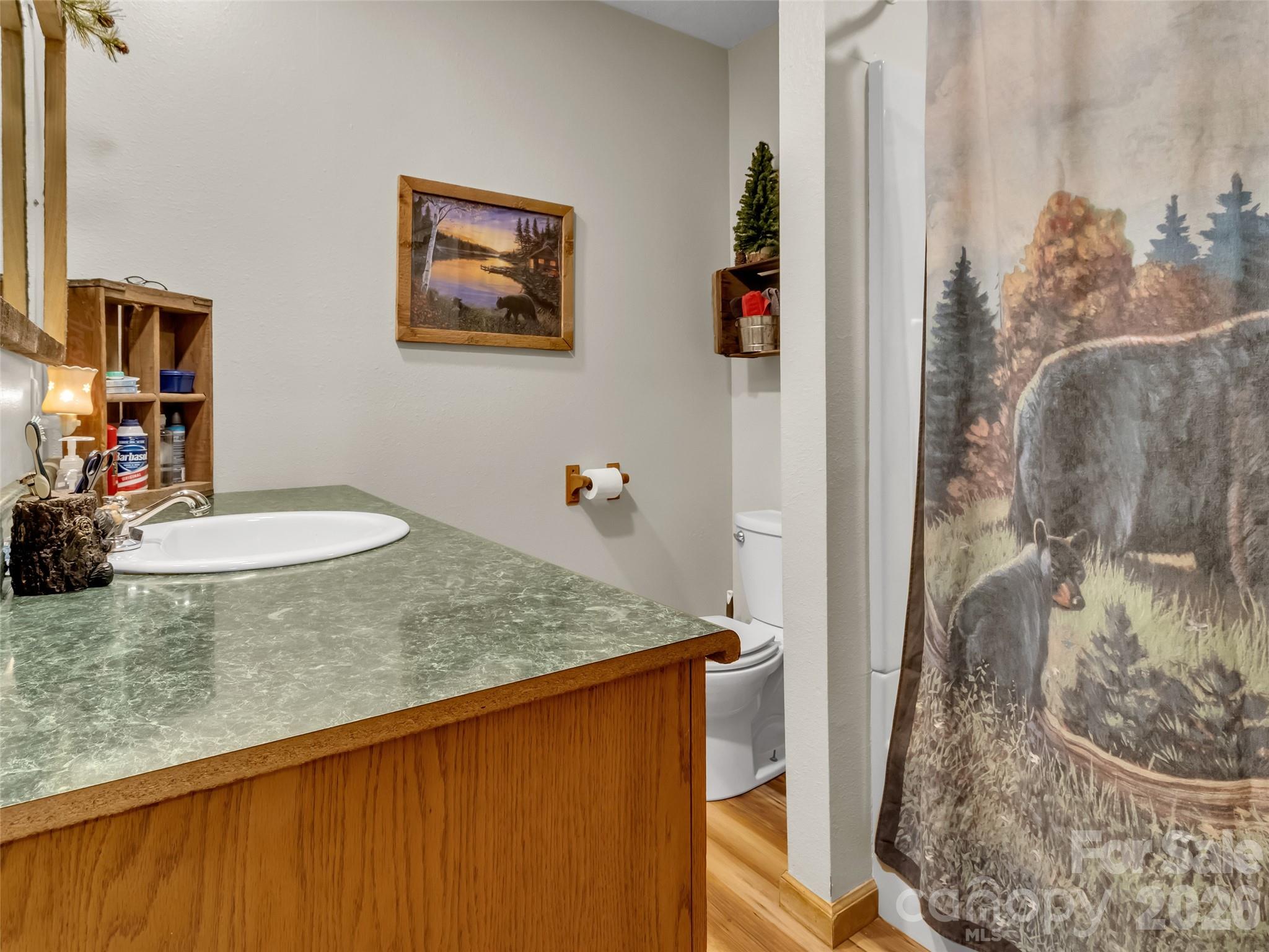 555 Acres View Drive — Waynesville